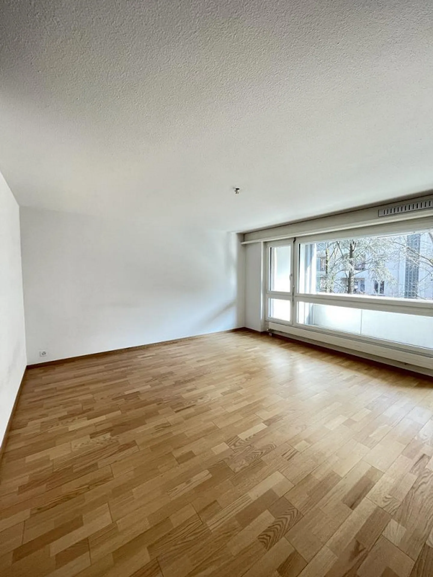 Charmante Wohnung in Länggasse - Foto 2 von 5