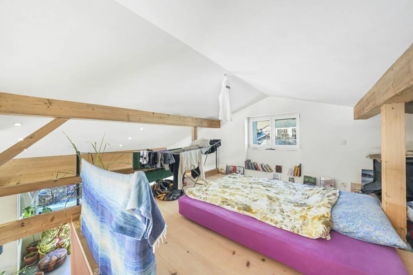 Sustainable Stylish Single-Family Home with Apartment in a Quiet Location - Photo 5 of 19