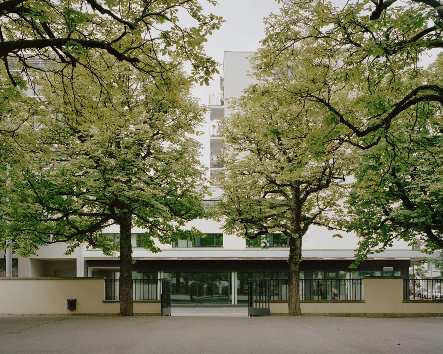 Prima locazione: Ufficio, studio o area vendita - tutto è possibile - Foto 1 di 1