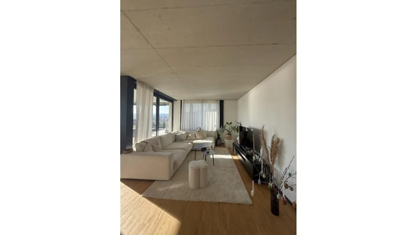3½ ROOM APARTMENT IN OBERRIEDEN (ZH), FURNISHED, TEMPORARY - Photo 2 of 10