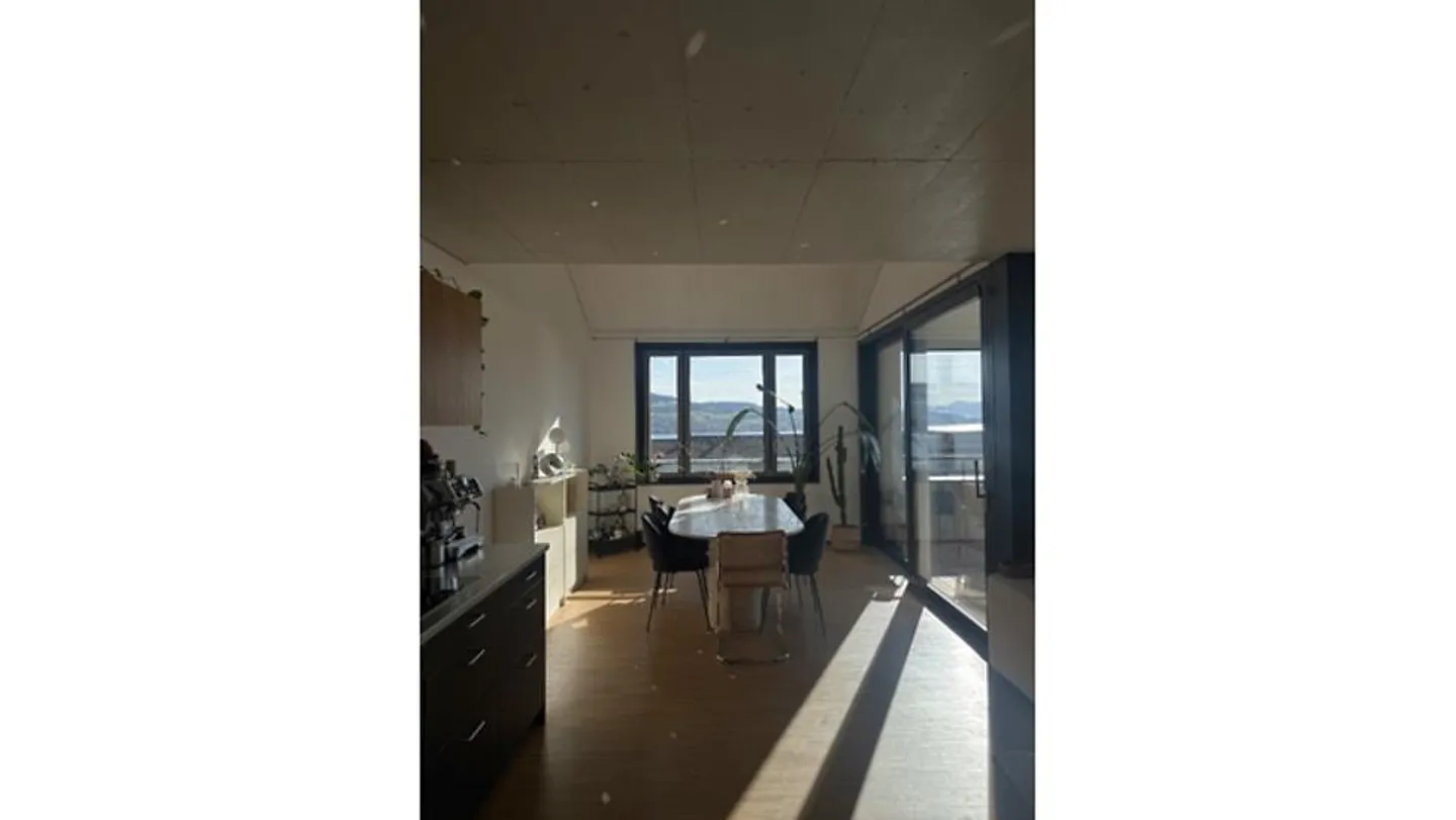 3½ ROOM APARTMENT IN OBERRIEDEN (ZH), FURNISHED, TEMPORARY - Photo 3 of 10
