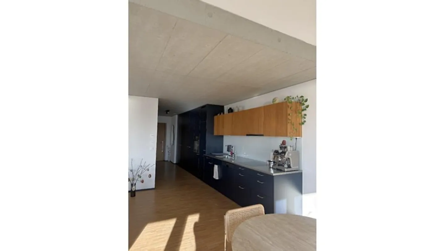 3½ ROOM APARTMENT IN OBERRIEDEN (ZH), FURNISHED, TEMPORARY - Photo 4 of 10
