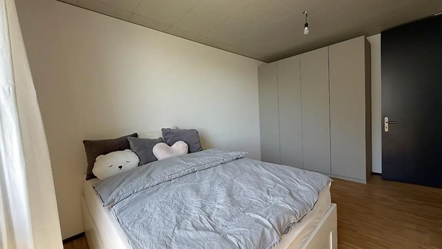 3½ ROOM APARTMENT IN OBERRIEDEN (ZH), FURNISHED, TEMPORARY - Photo 5 of 10