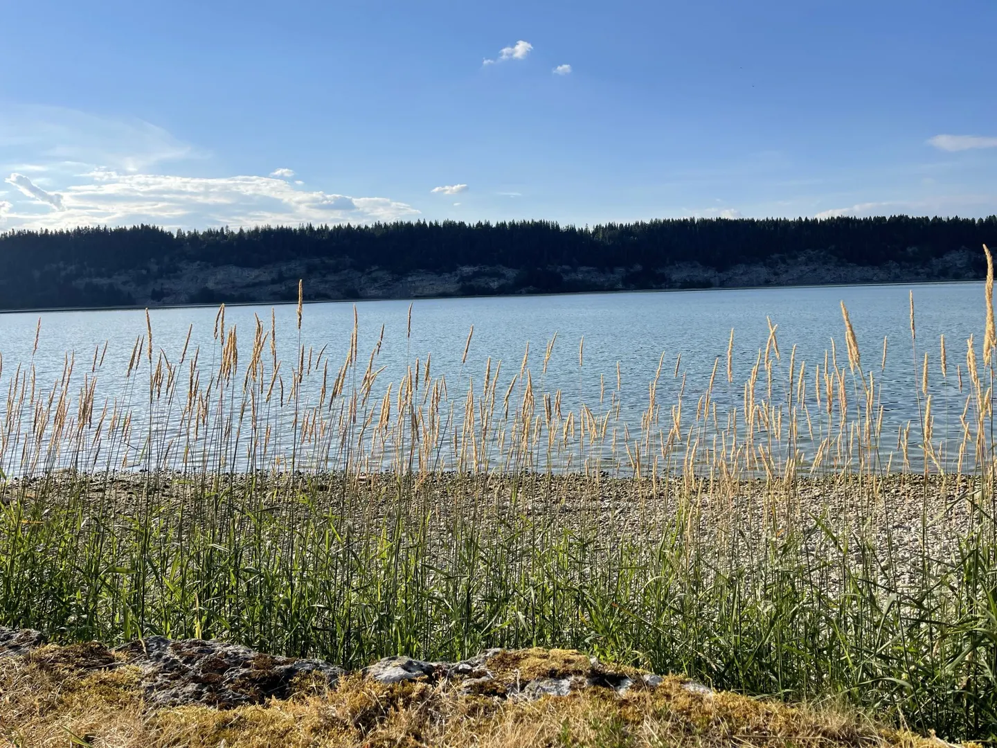 The privilege of a front line facing the lake - Photo 21 of 21