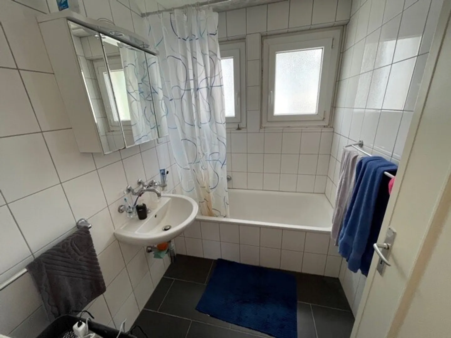 Charming Apartment in Fribourg - Photo 5 of 6