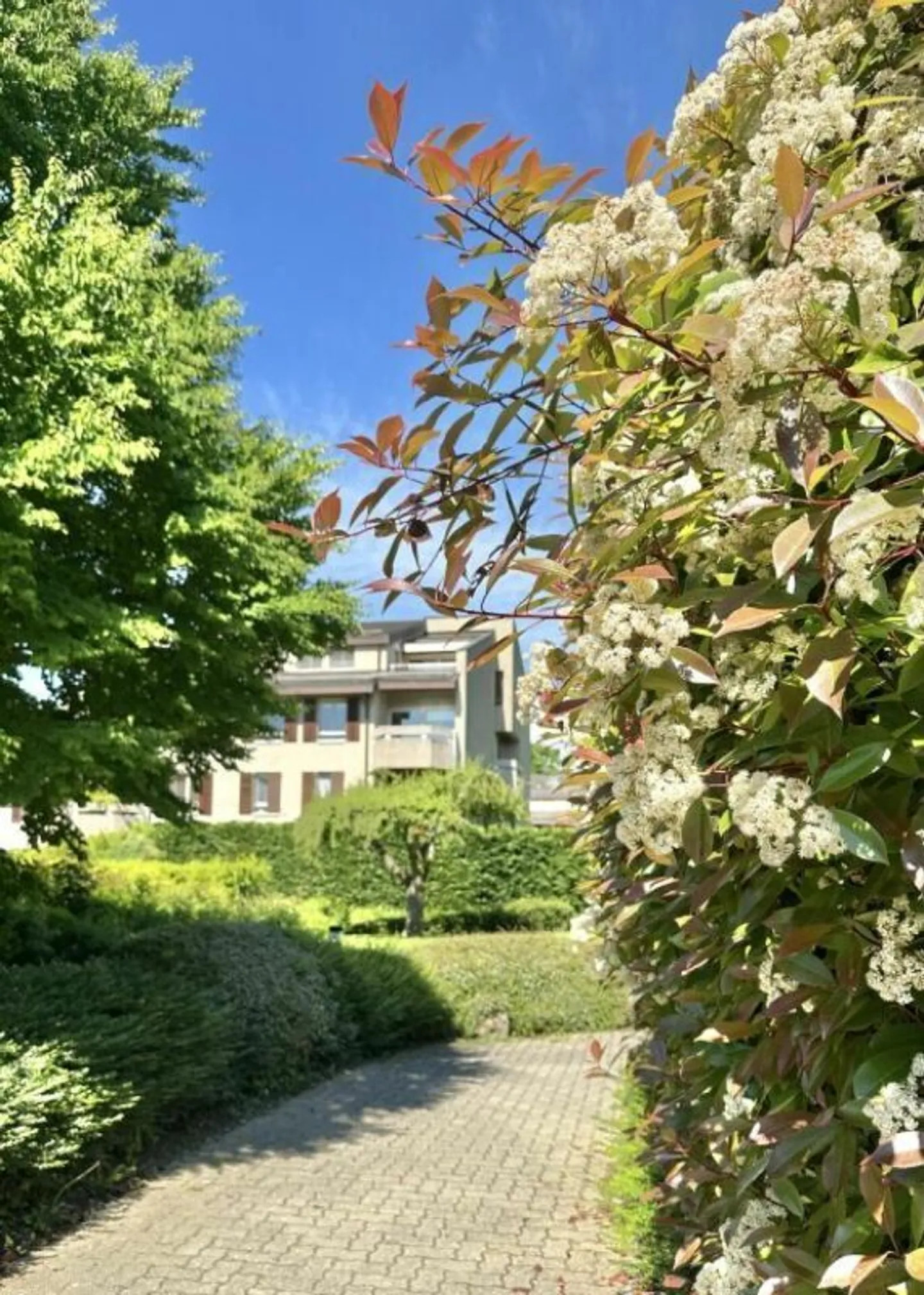 Beautiful furnished apartment in Cologny - Photo 4 of 24