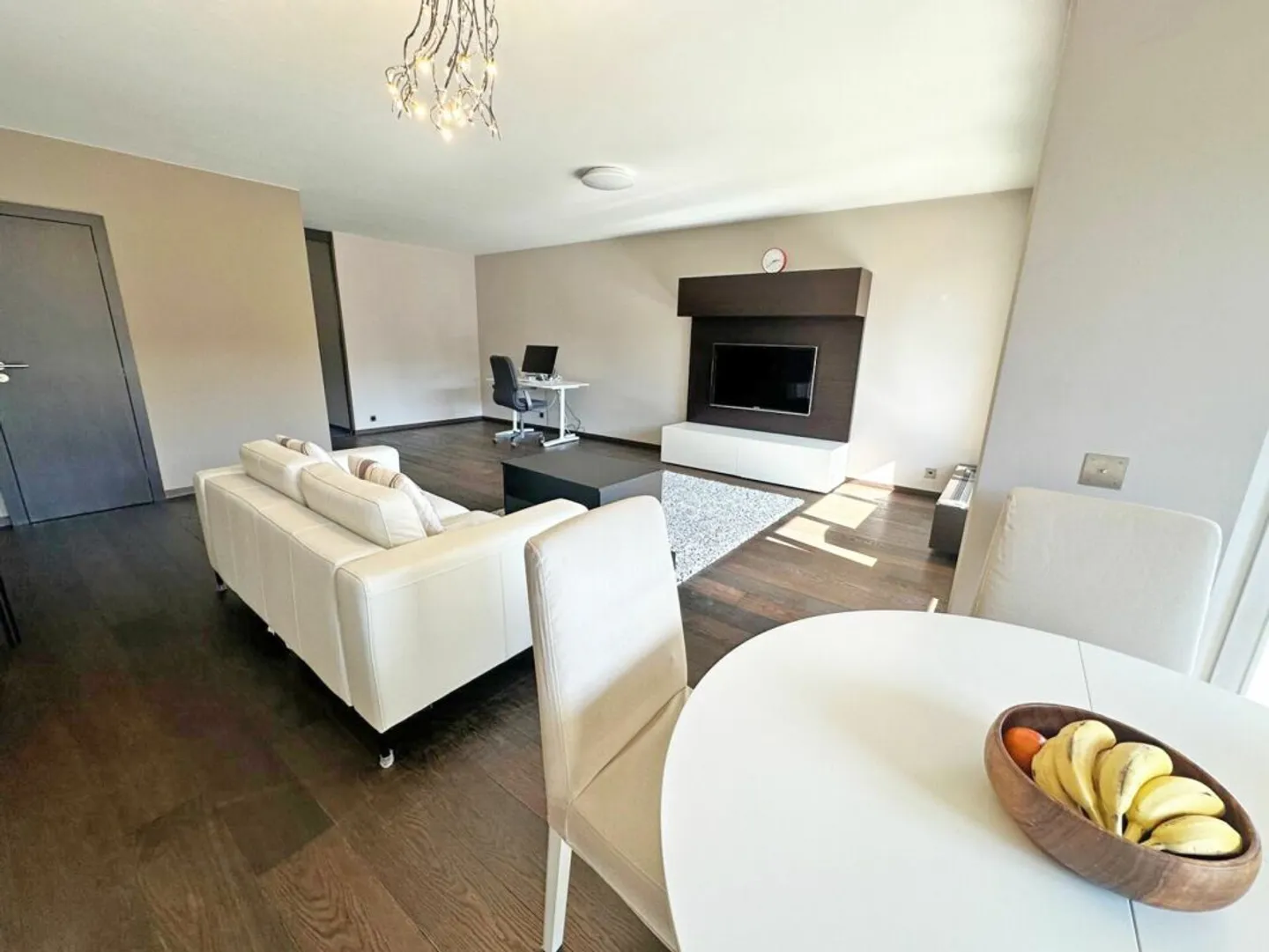 Beautiful furnished apartment in Cologny - Photo 11 of 24