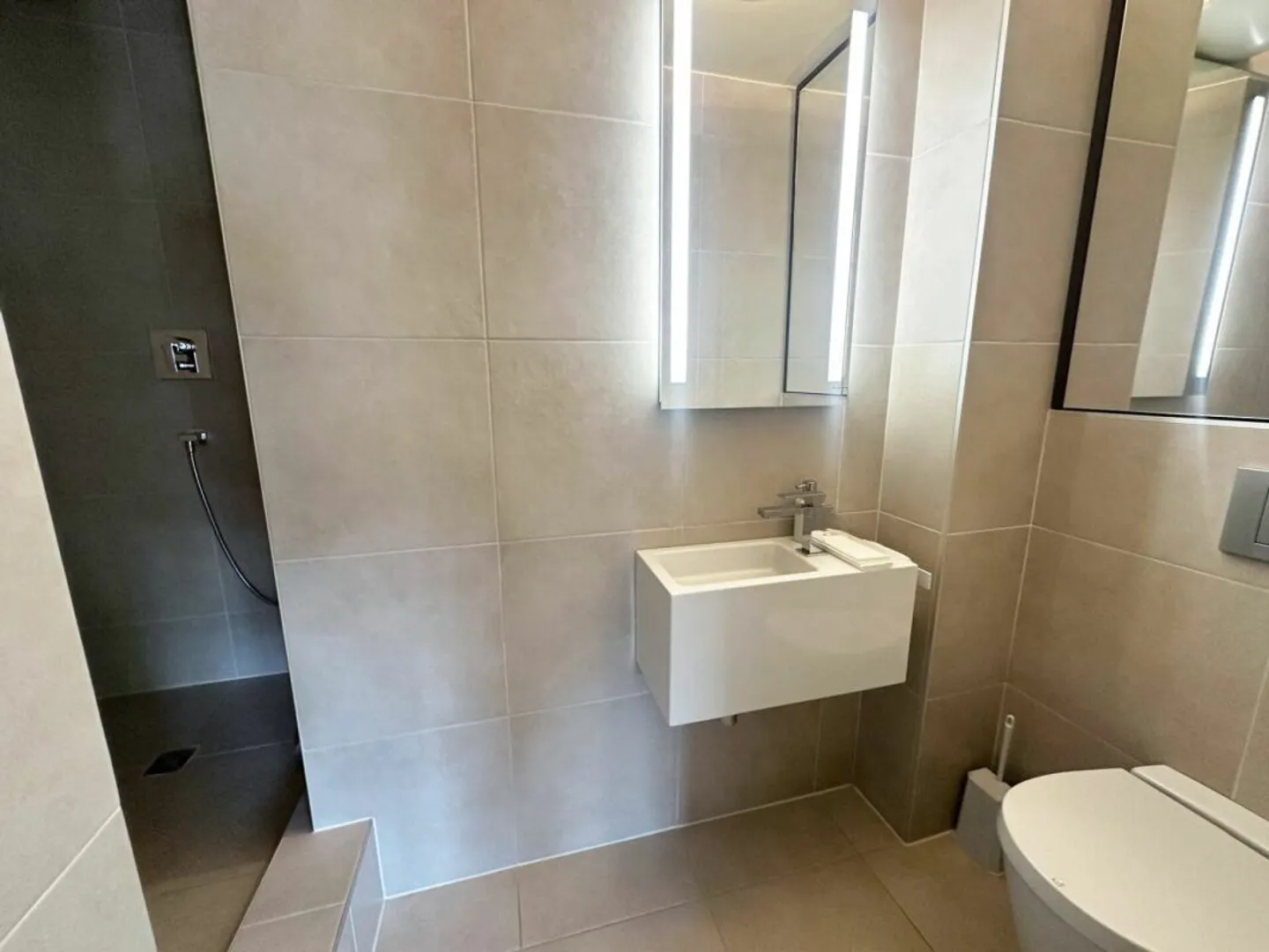 Beautiful furnished apartment in Cologny - Photo 21 of 24