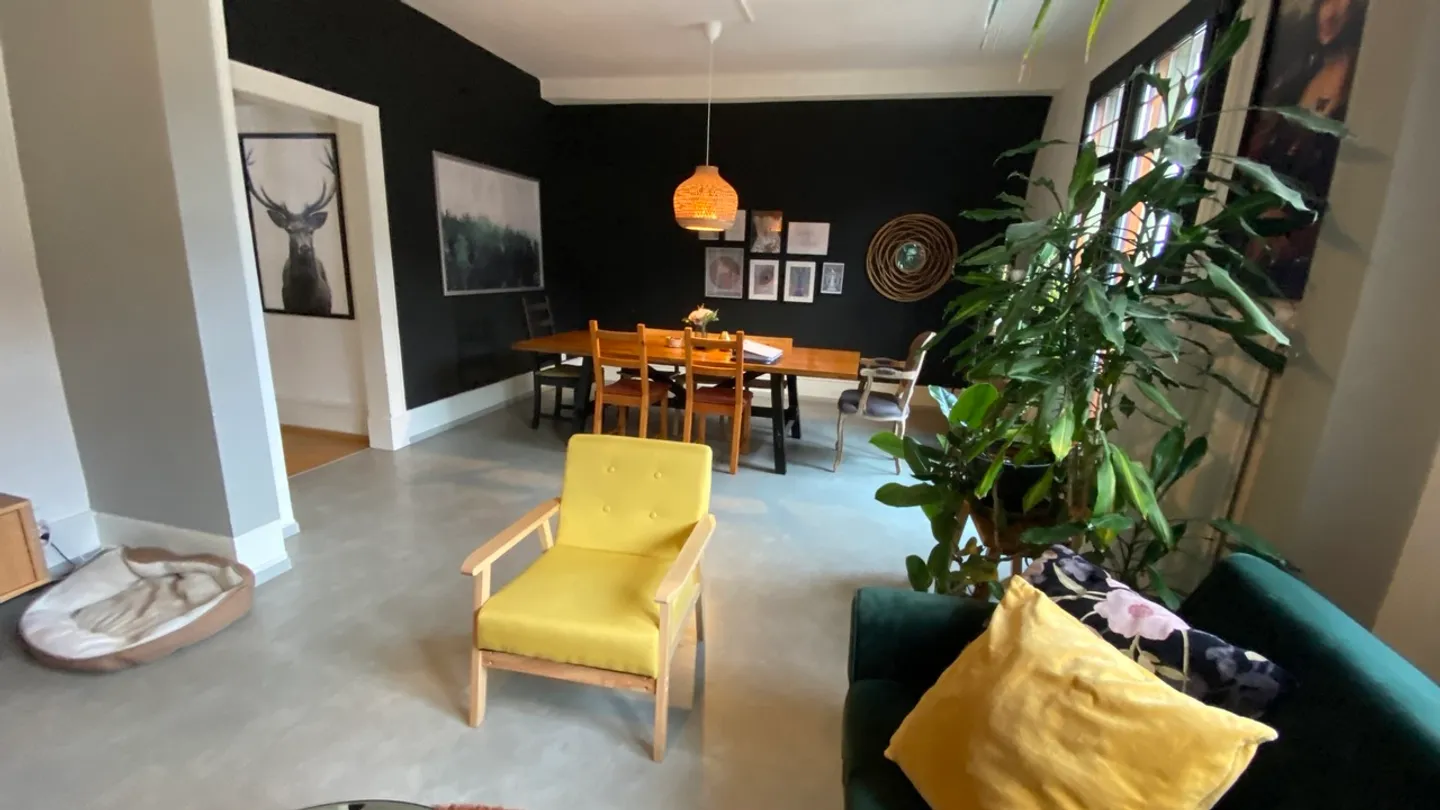Renovated Apartment with Terrace - Photo 12 of 37