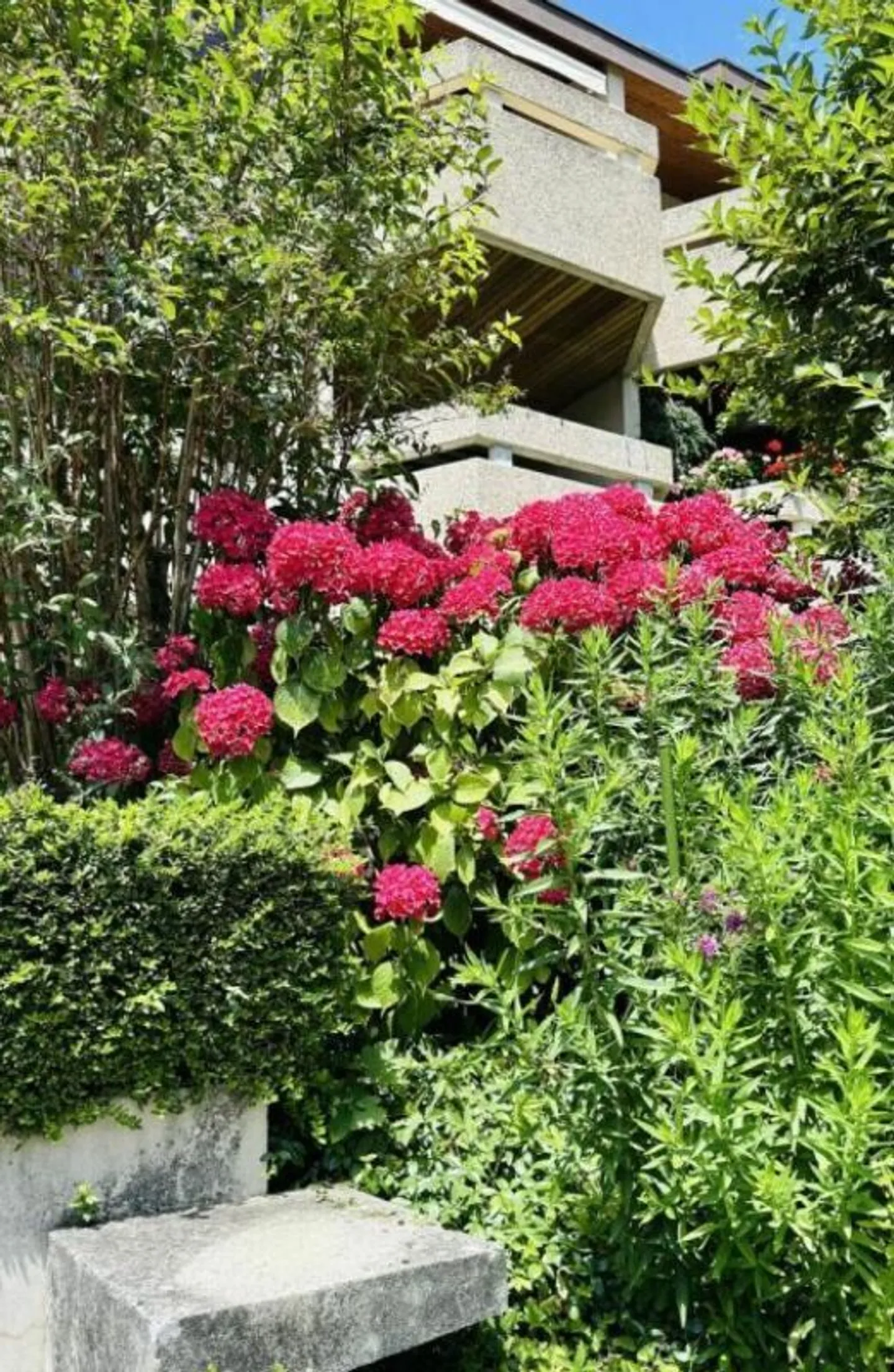 Beautiful furnished apartment in Cologny - Photo 24 of 24