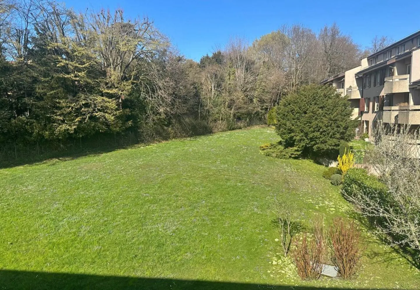 Beautiful furnished apartment in Cologny - Photo 17 of 24