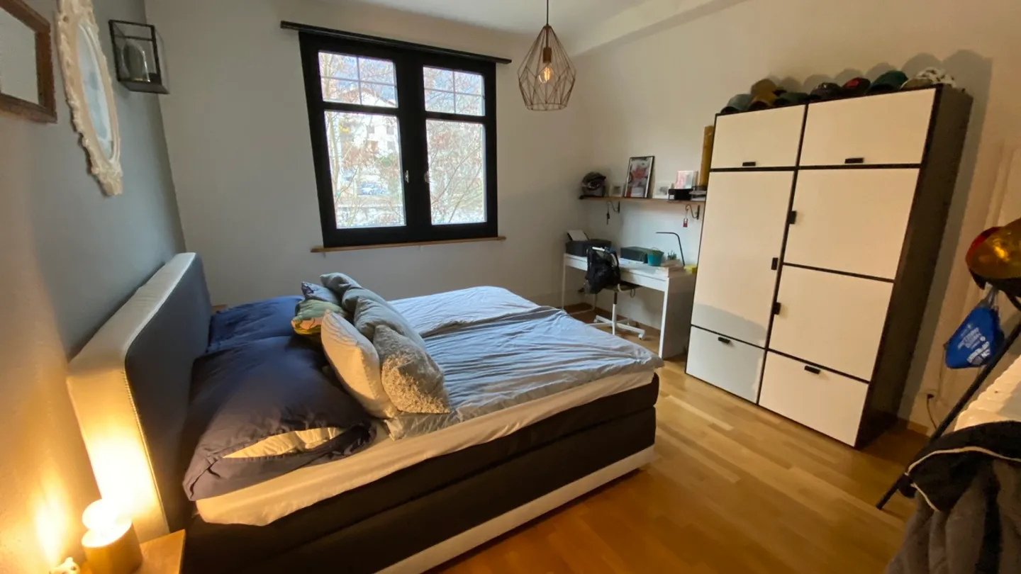 Renovated Apartment with Terrace - Photo 10 of 37