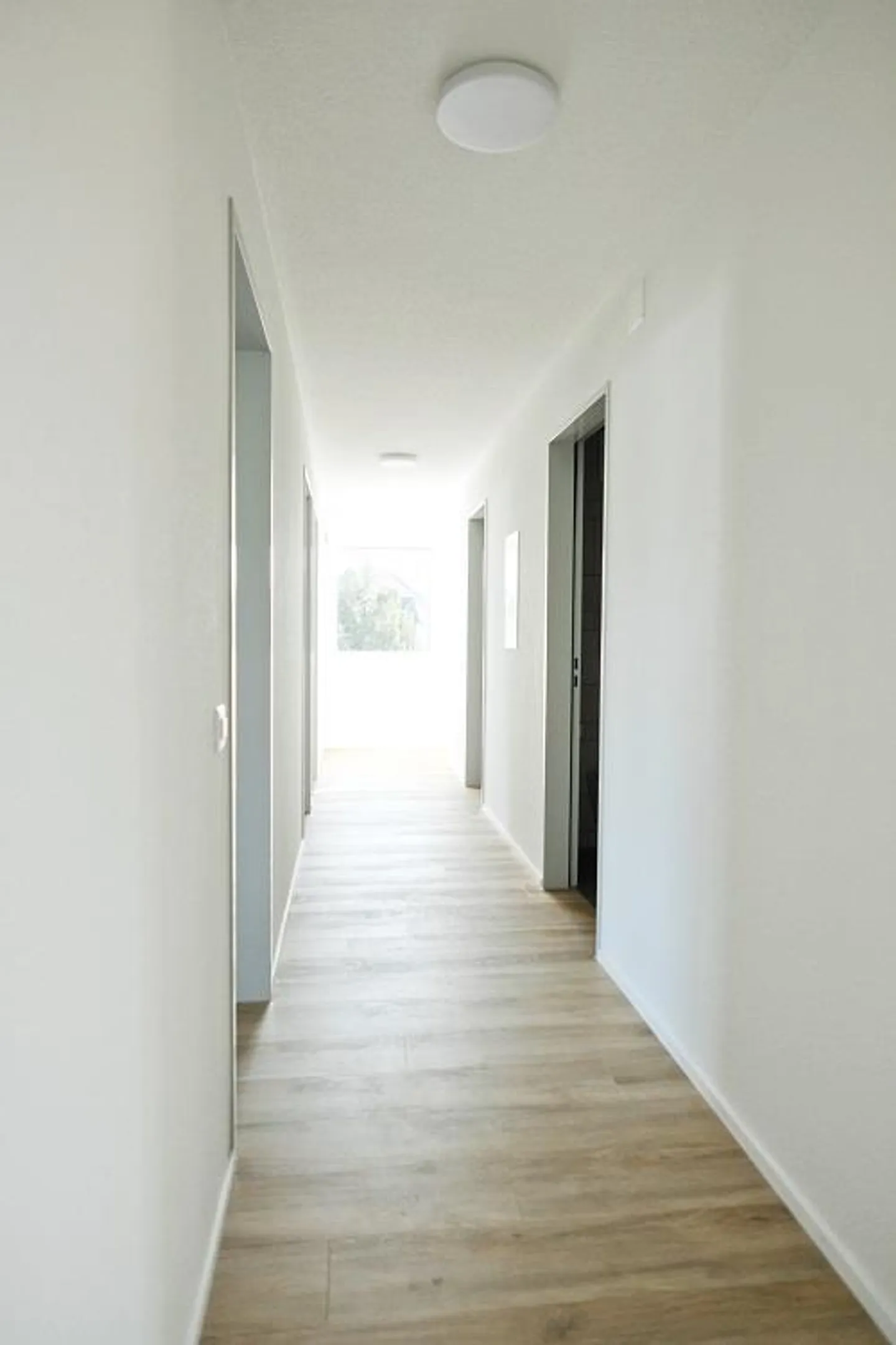 Traumhaft helle Wohnung - Foto 5 von 15