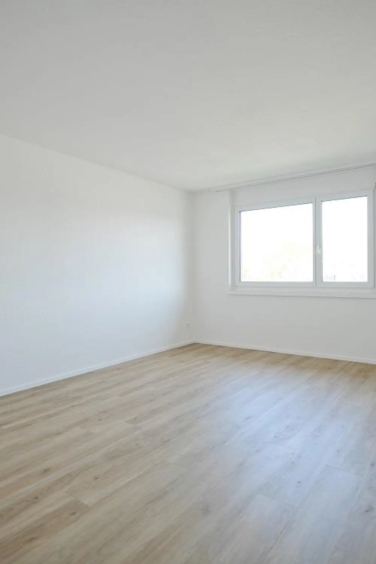 Traumhaft helle Wohnung - Foto 7 von 15