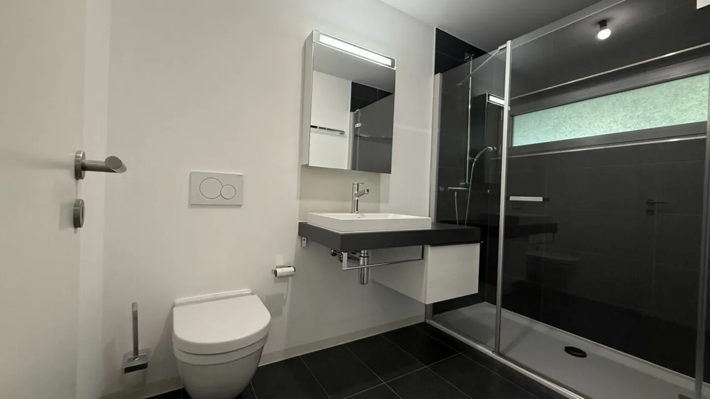 Prächtige 4.5-Zimmer-Wohnung + Studio in Contra - Foto 19 von 20
