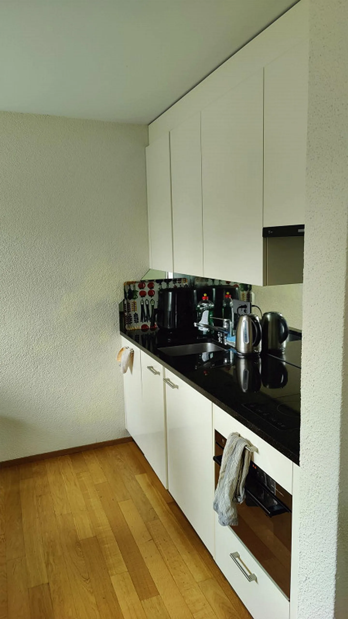 Ruhige Einliegerwohnung in Adliswil - Foto 2 von 11