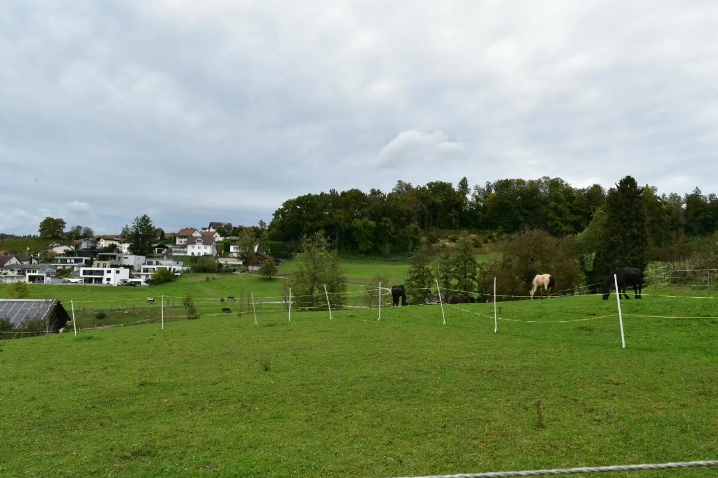 Developed Building Land for Your Investment! - Photo 1 of 6
