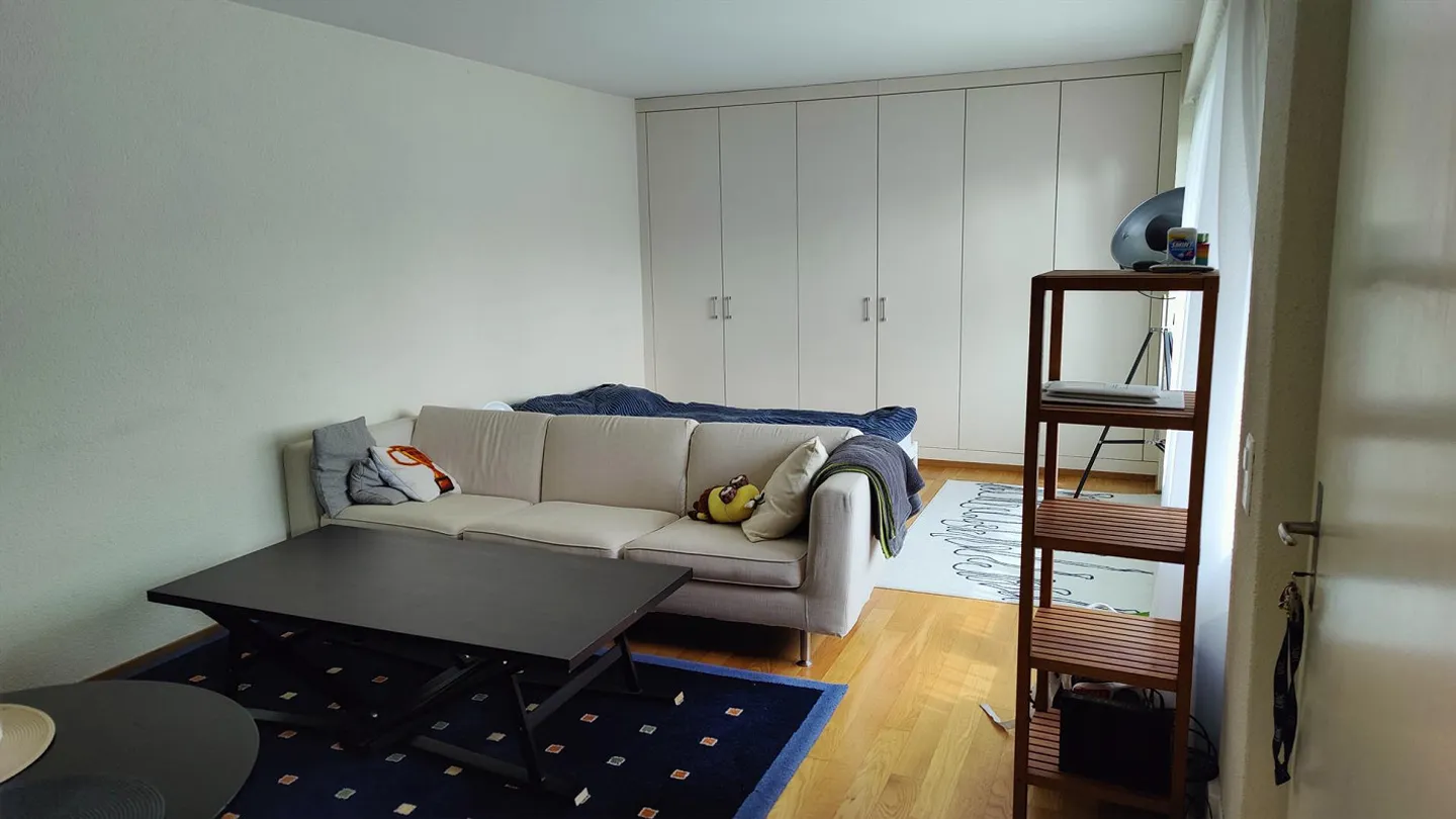 Ruhige Einliegerwohnung in Adliswil - Foto 4 von 11