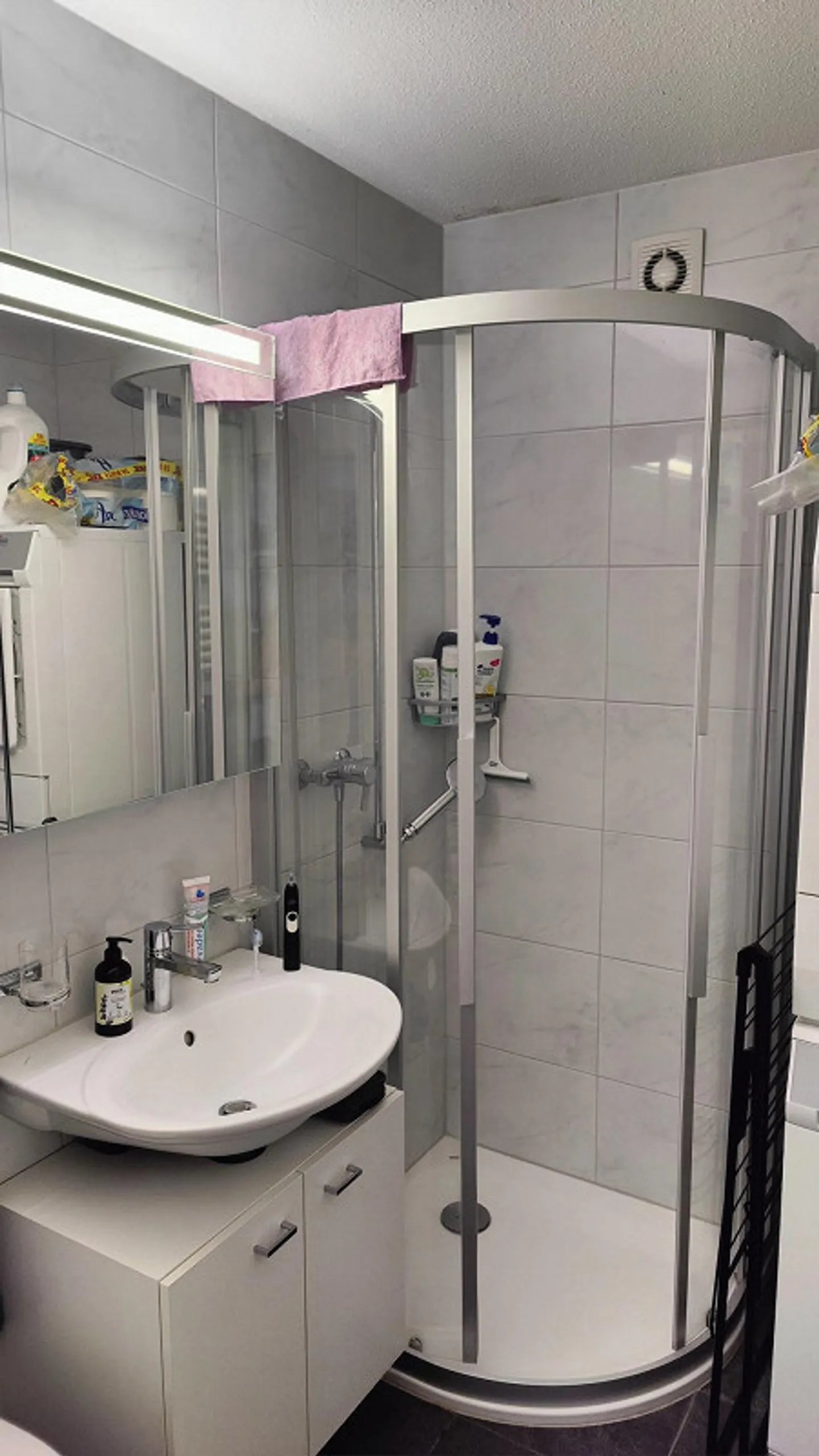 Ruhige Einliegerwohnung in Adliswil - Foto 10 von 11