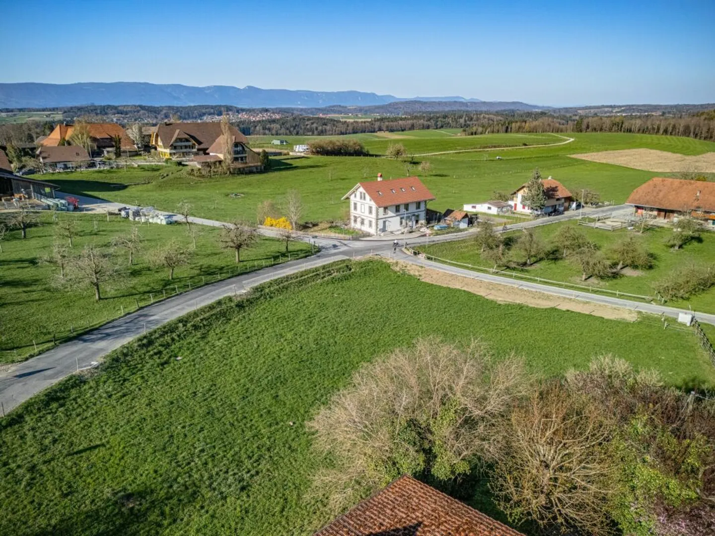 Casa singola in affitto - Foto 7 di 8