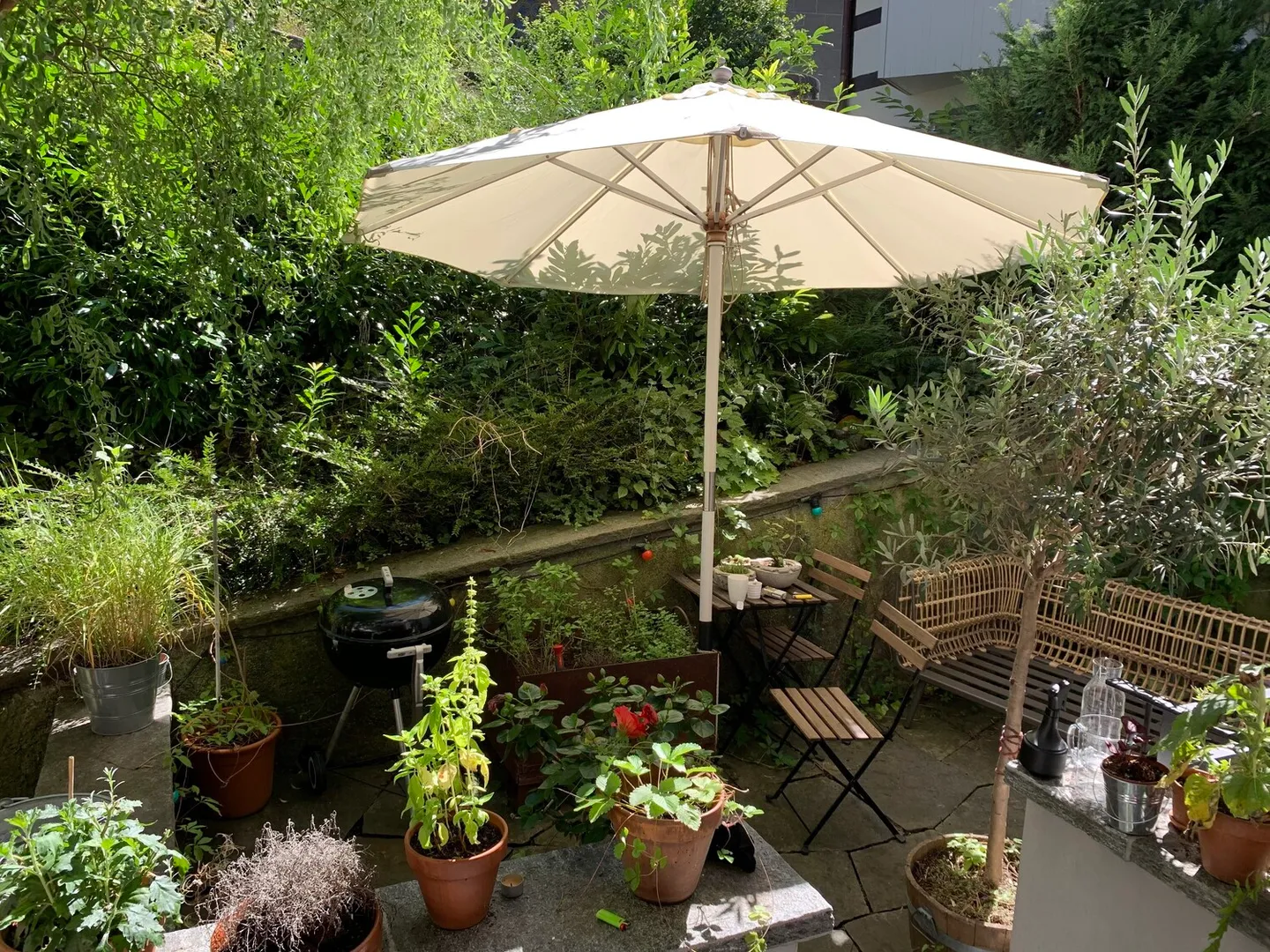 Renovated apartment with terrace - Photo 8 of 8