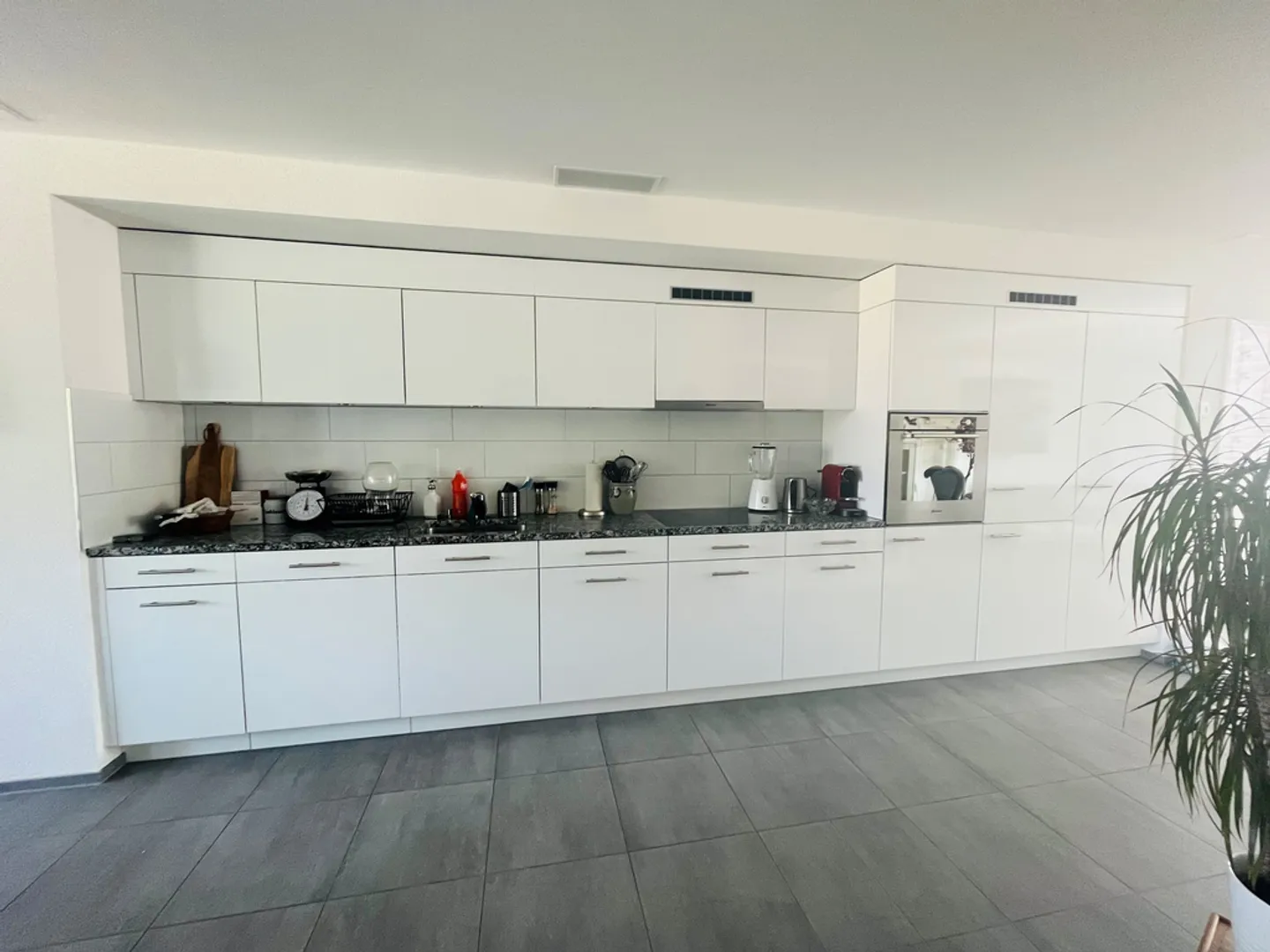 Modern Living in Winterthur - Photo 2 of 9