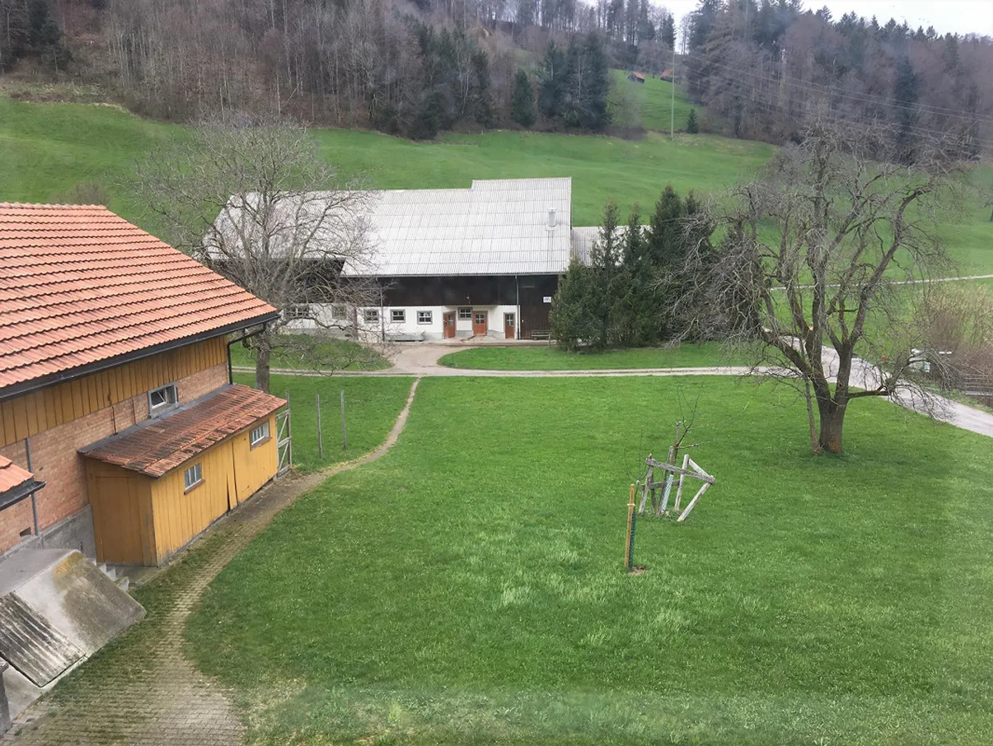 Affordable 3.5-room apartment in a quiet, green location - Photo 1 of 27