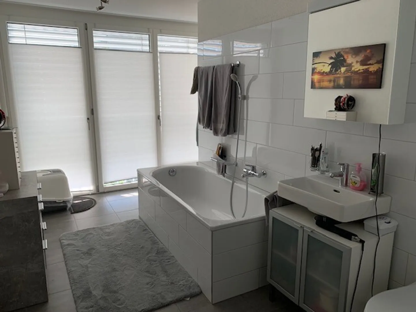 Modern Living in Winterthur - Photo 5 of 9