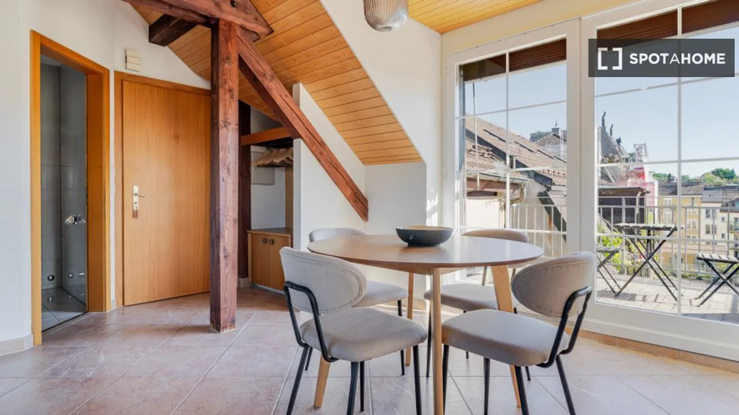 Modern Apartment in Zurich - Photo 7 of 18