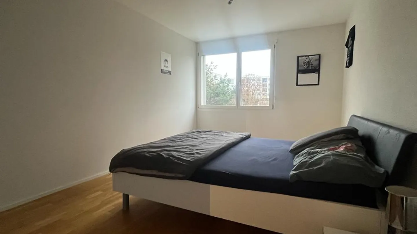 Appartamento 2.5 locali - Foto 3 di 4