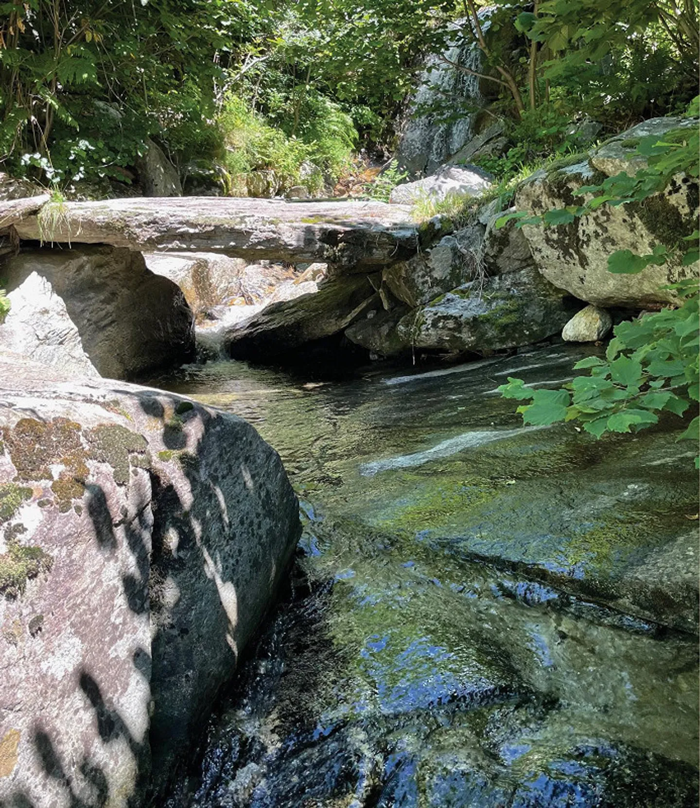 DANS UNE POSITION DE CONTES DE FÉES - RUSTIQUE RÊVE À BITANENGO - Photo 8 sur 29