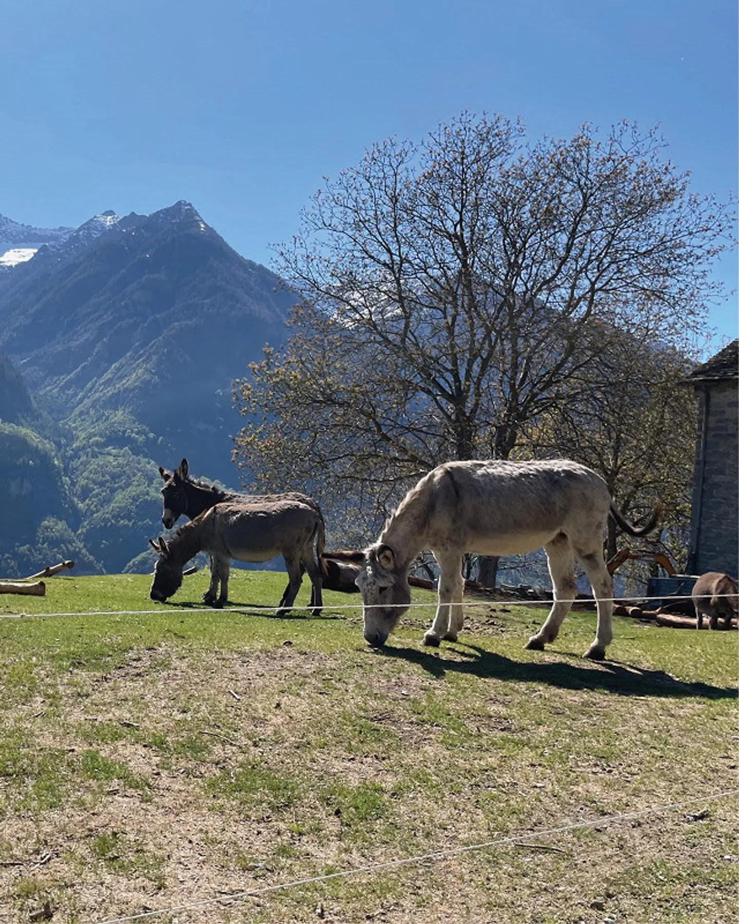 DANS UNE POSITION DE CONTES DE FÉES - RUSTIQUE RÊVE À BITANENGO - Photo 20 sur 29