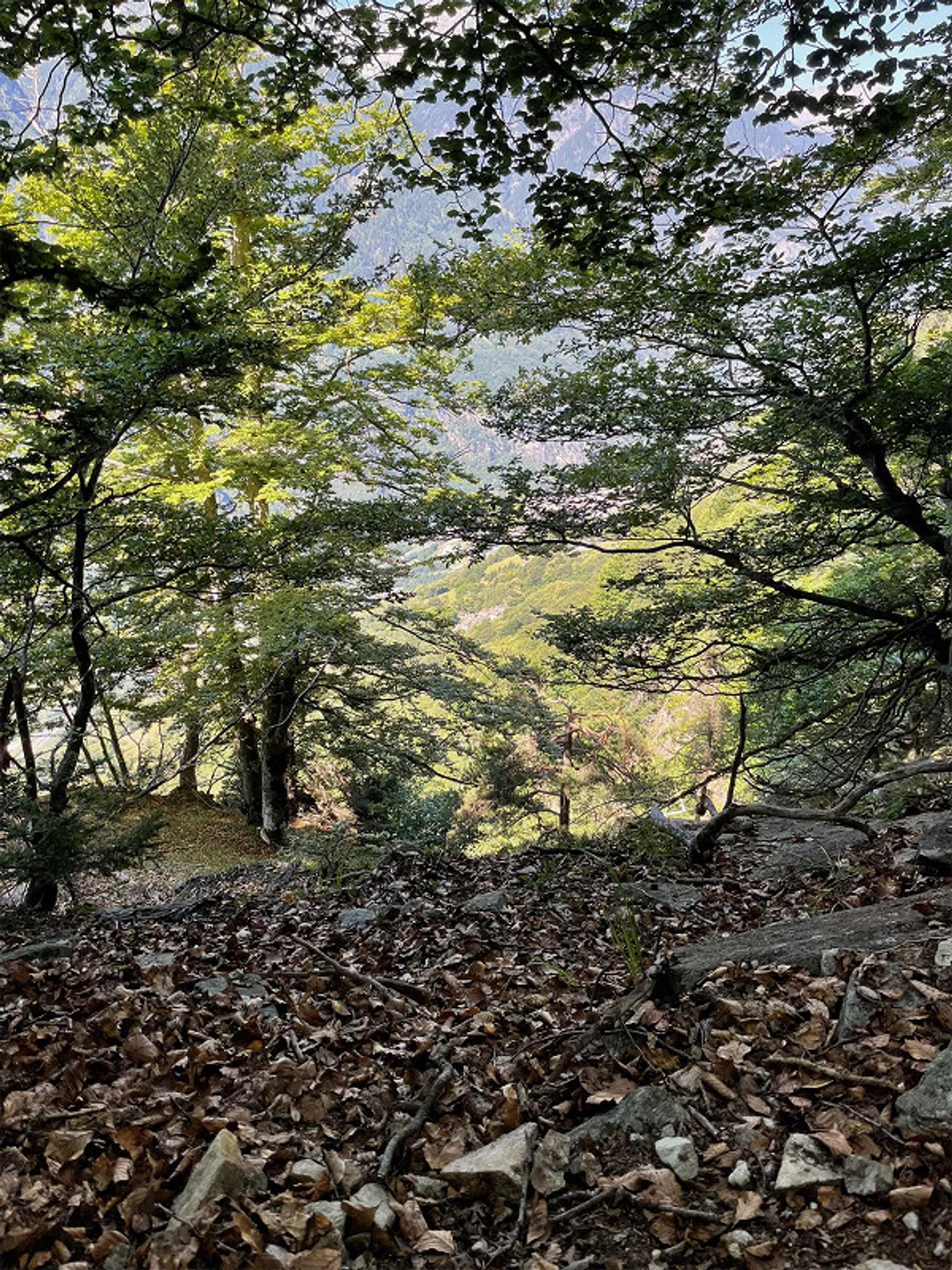 DANS UNE POSITION DE CONTES DE FÉES - RUSTIQUE RÊVE À BITANENGO - Photo 29 sur 29
