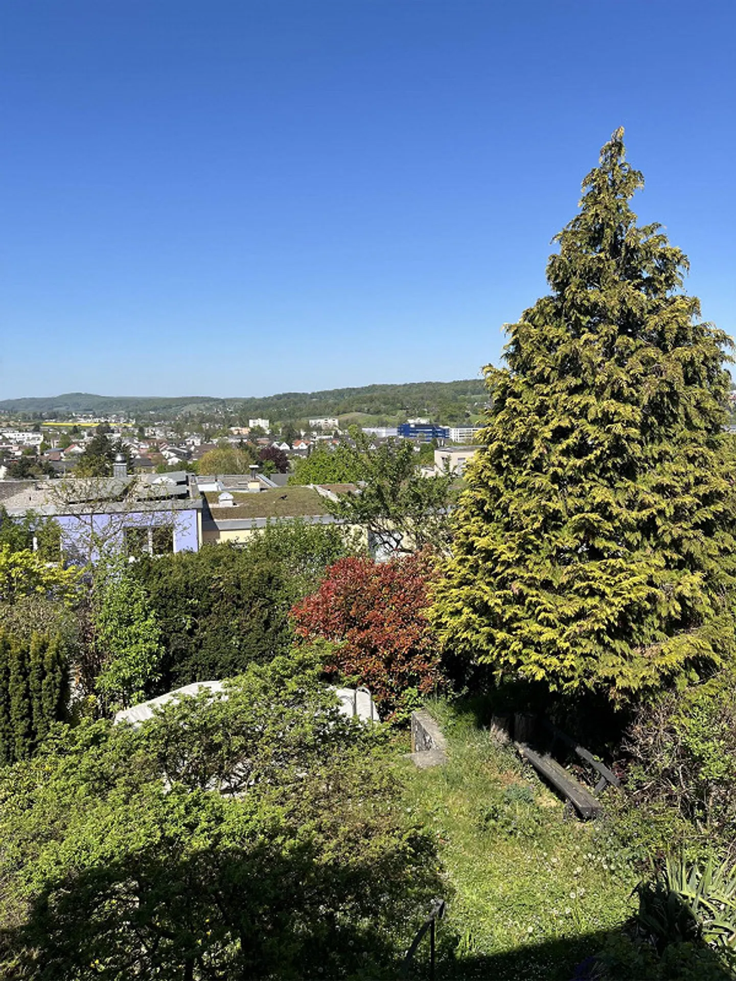 Maison individuelle de 5 pièces en coin avec jardin, vue et beaucoup de potentiel - Photo 4 sur 13