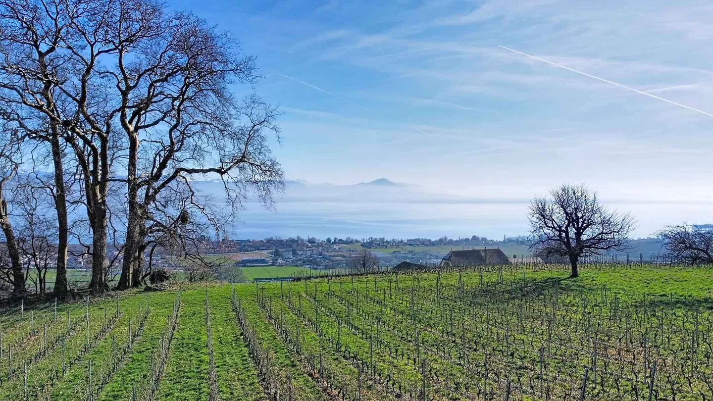 New Exceptional Villa: 360 m² of Light and Prestige Facing Lake Geneva - Photo 1 of 6