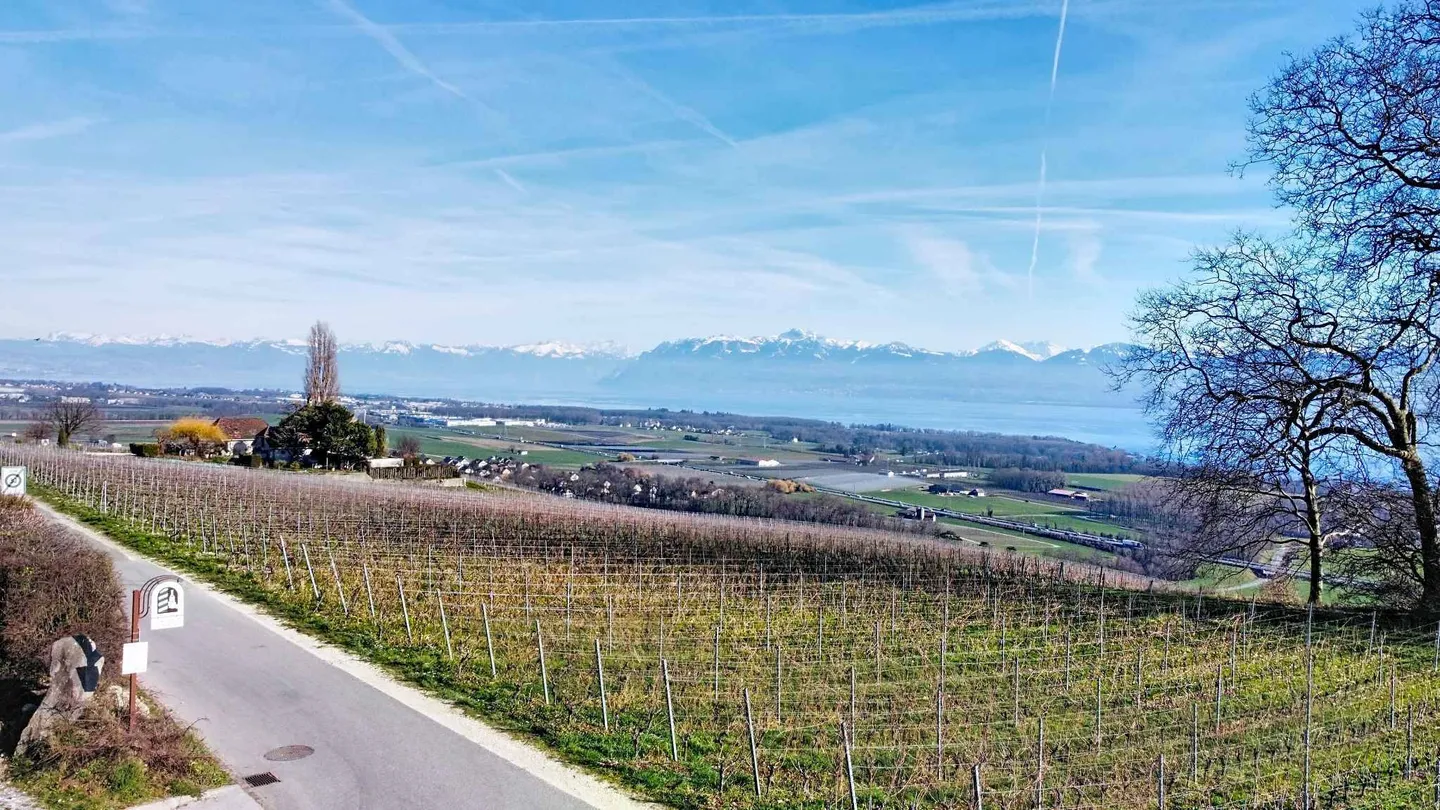 New Exceptional Villa: 360 m² of Light and Prestige Facing Lake Geneva - Photo 2 of 6