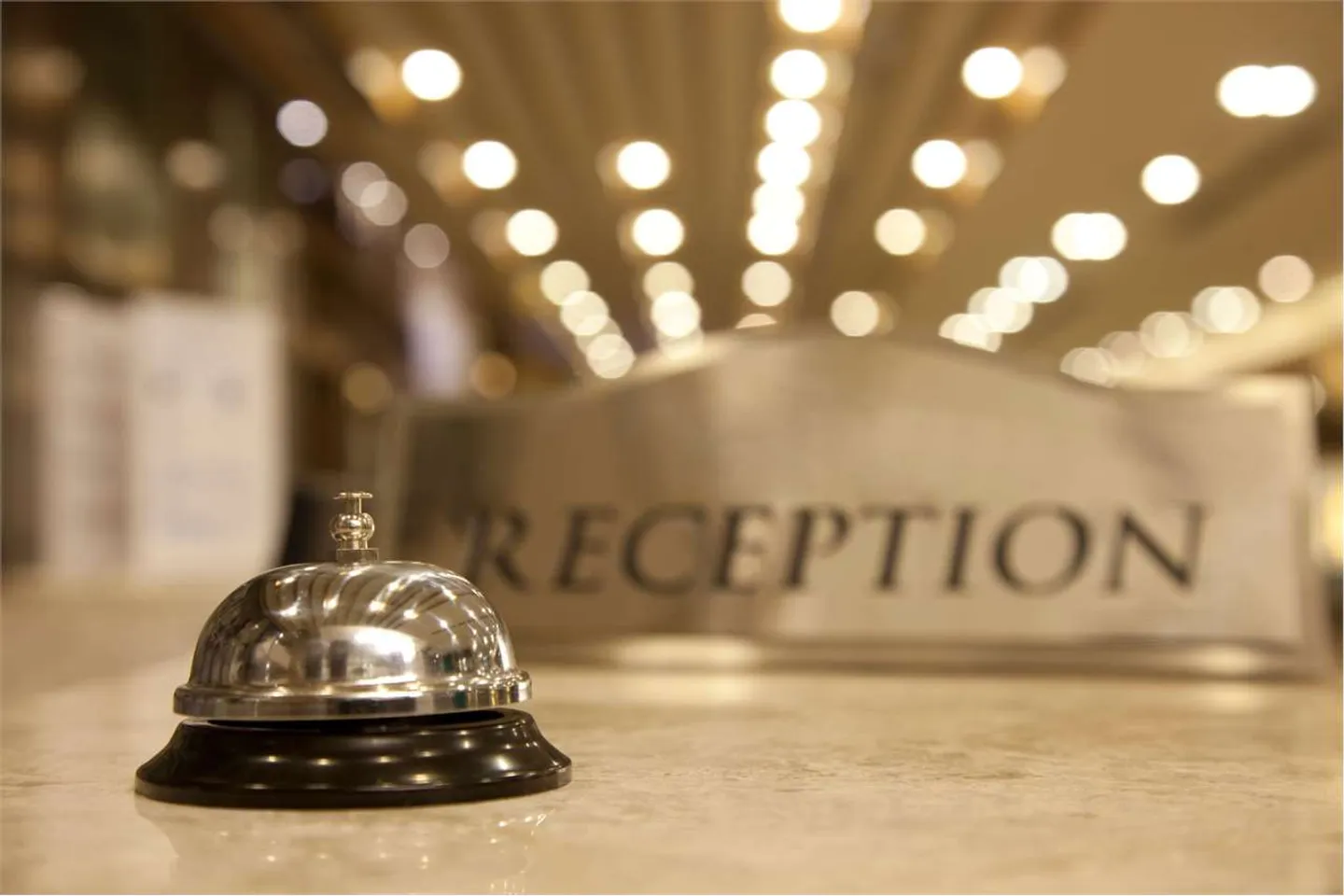 Hotel Investment Opportunity in Locarno - Photo 4 of 6