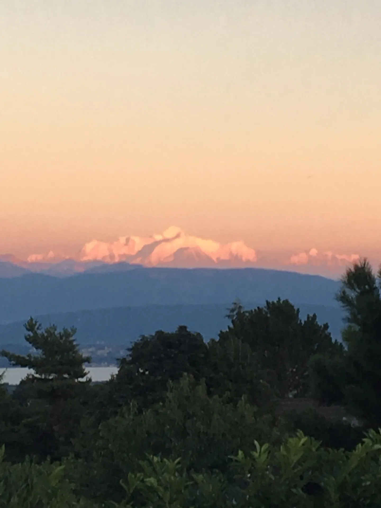SUPER VILLA 8P SEEBLICK ALPEN UND JURA MIT SCHWIMMBAD UND UNABHÄNGIGER WOHNUNG - Foto 1 von 2