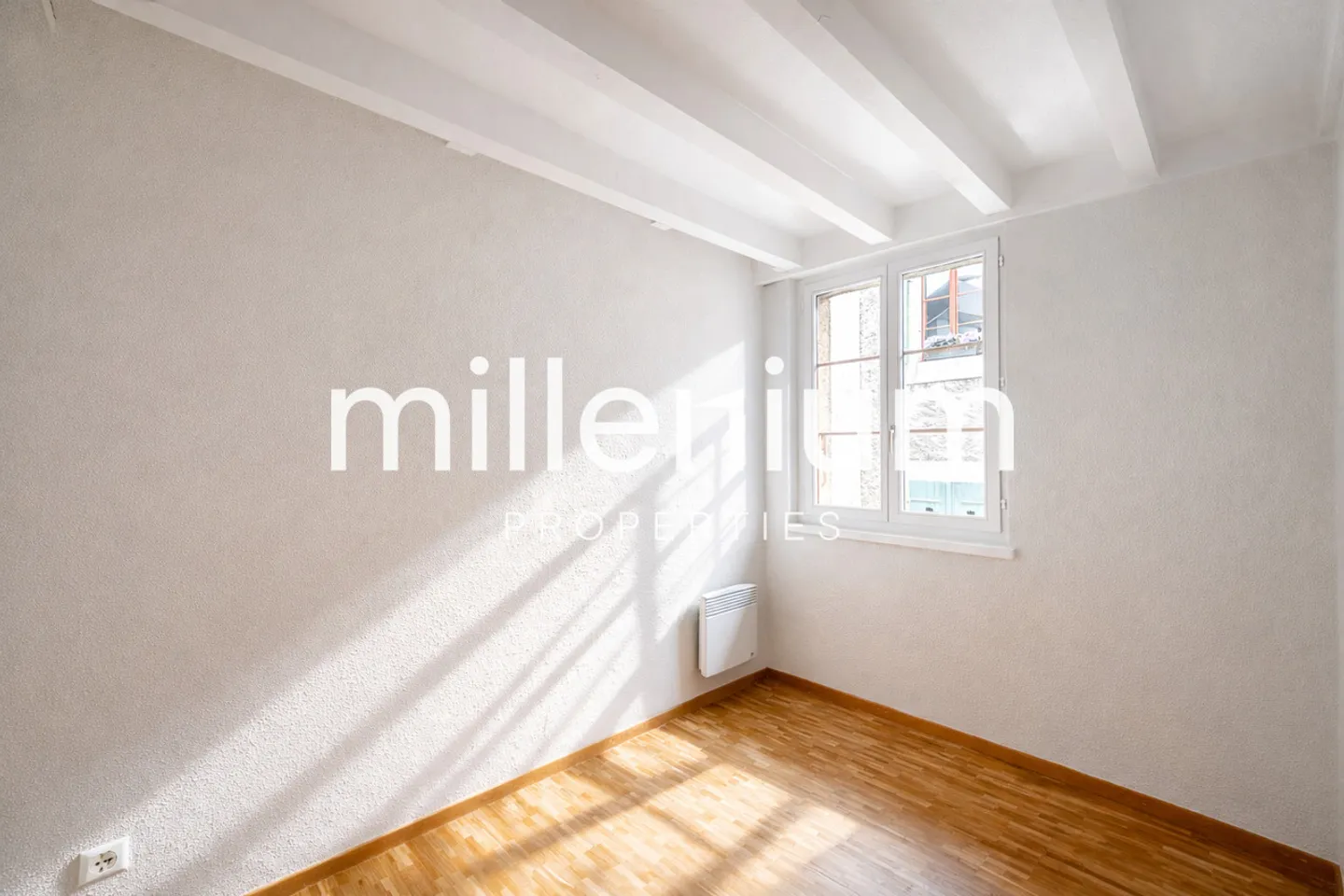 Exceptional Renovated 6-Room Duplex Penthouse in the Heart of Carouge - Photo 8 of 12