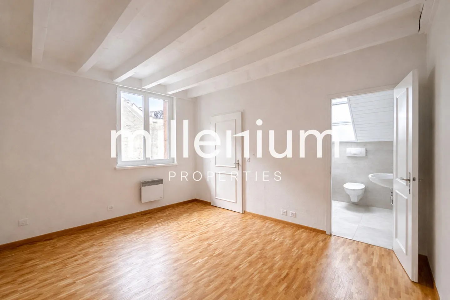 Exceptional Renovated 6-Room Duplex Penthouse in the Heart of Carouge - Photo 10 of 12