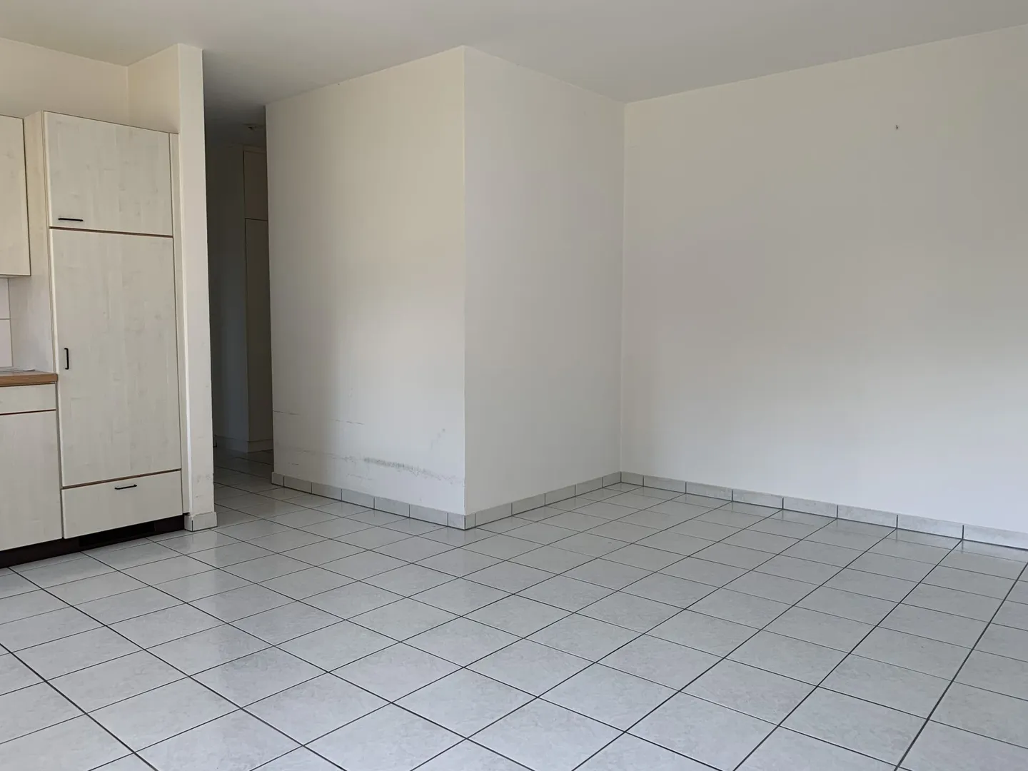 2,5-Zimmer-Wohnung in Arbedo - Foto 4 von 8