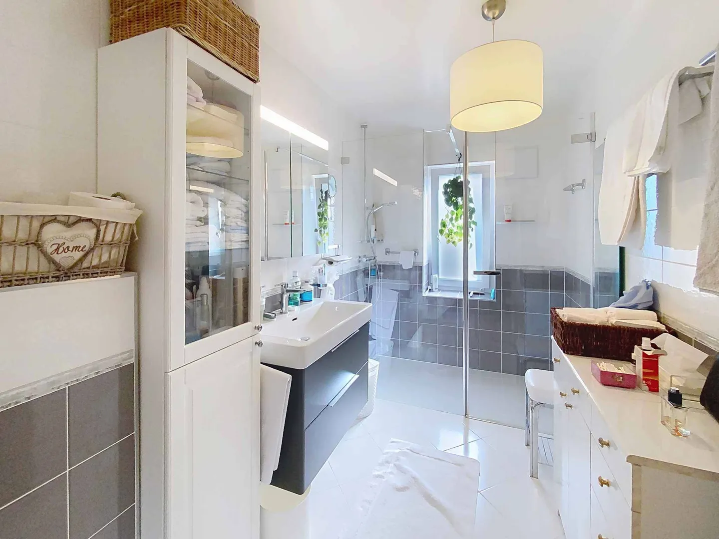 SUPERB APARTMENT WITH LARGE GARDEN, TERRACE AND VIEW OF THE LAKE AND THE ALPS - Photo 9 of 10