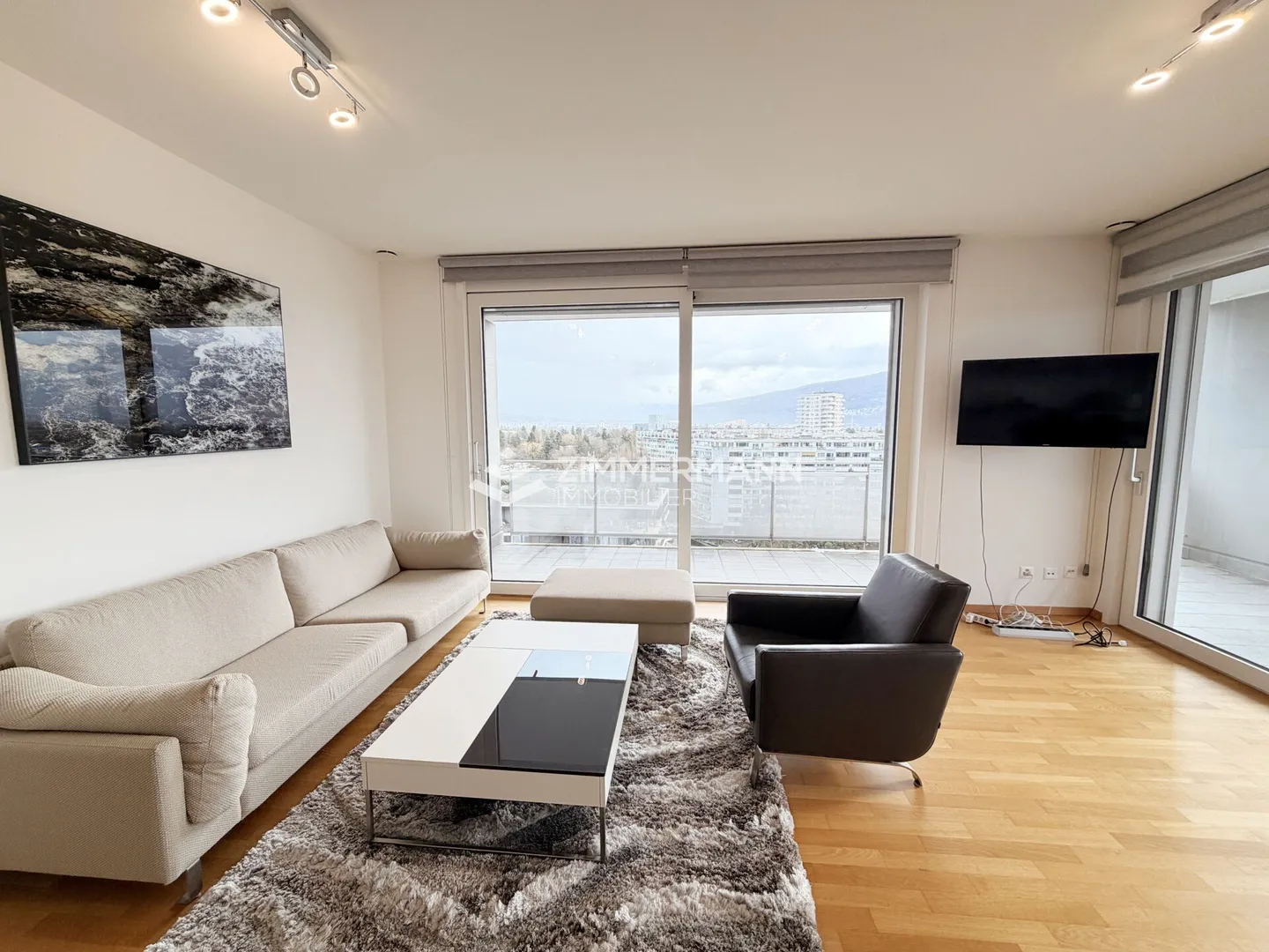 Cologny - Superbo attico arredato di 4 stanze con grande terrazza e vista eccezionale - Foto 7 di 8