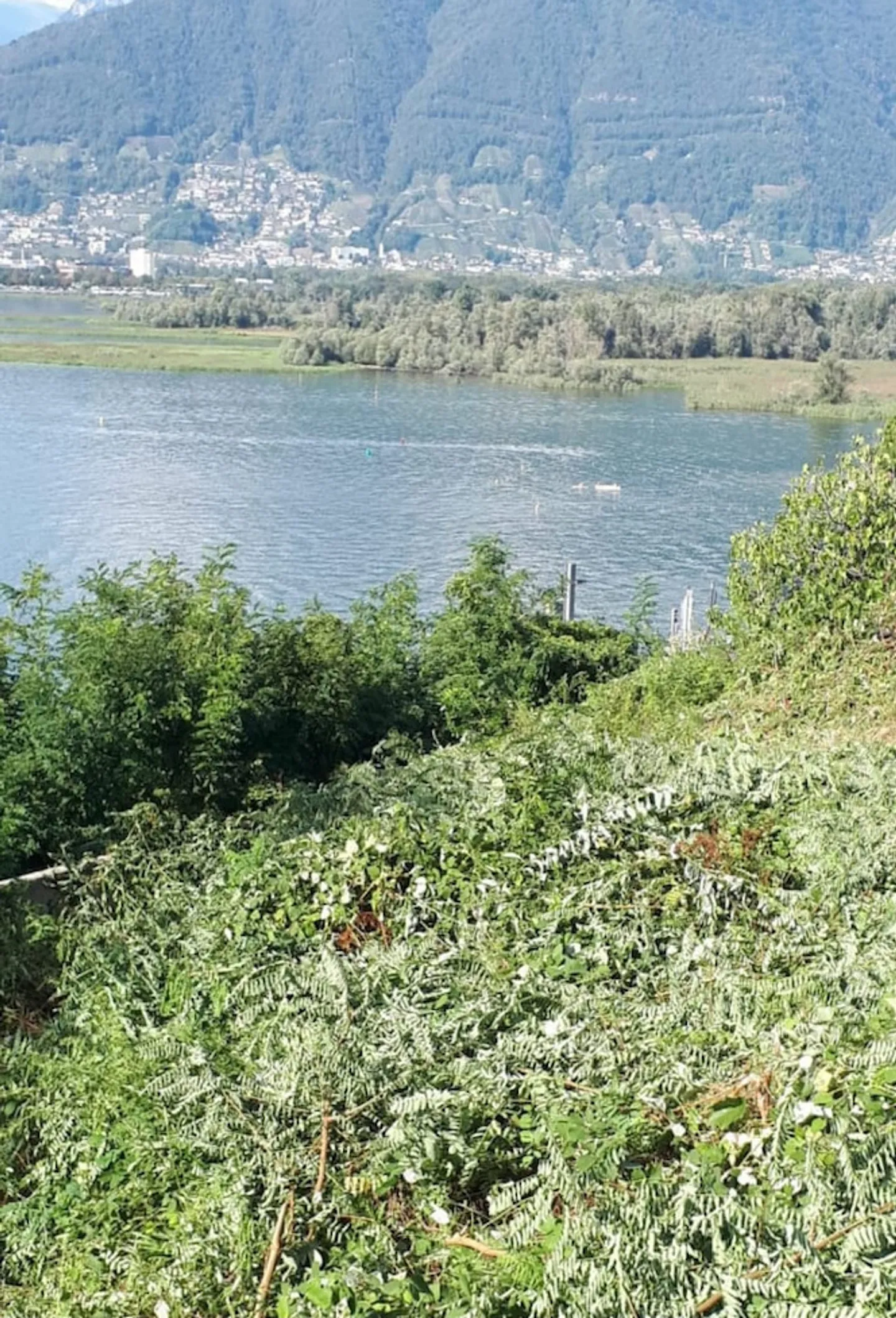 Building plot with panoramic view of Lake Maggiore and the ... - Photo 4 of 5