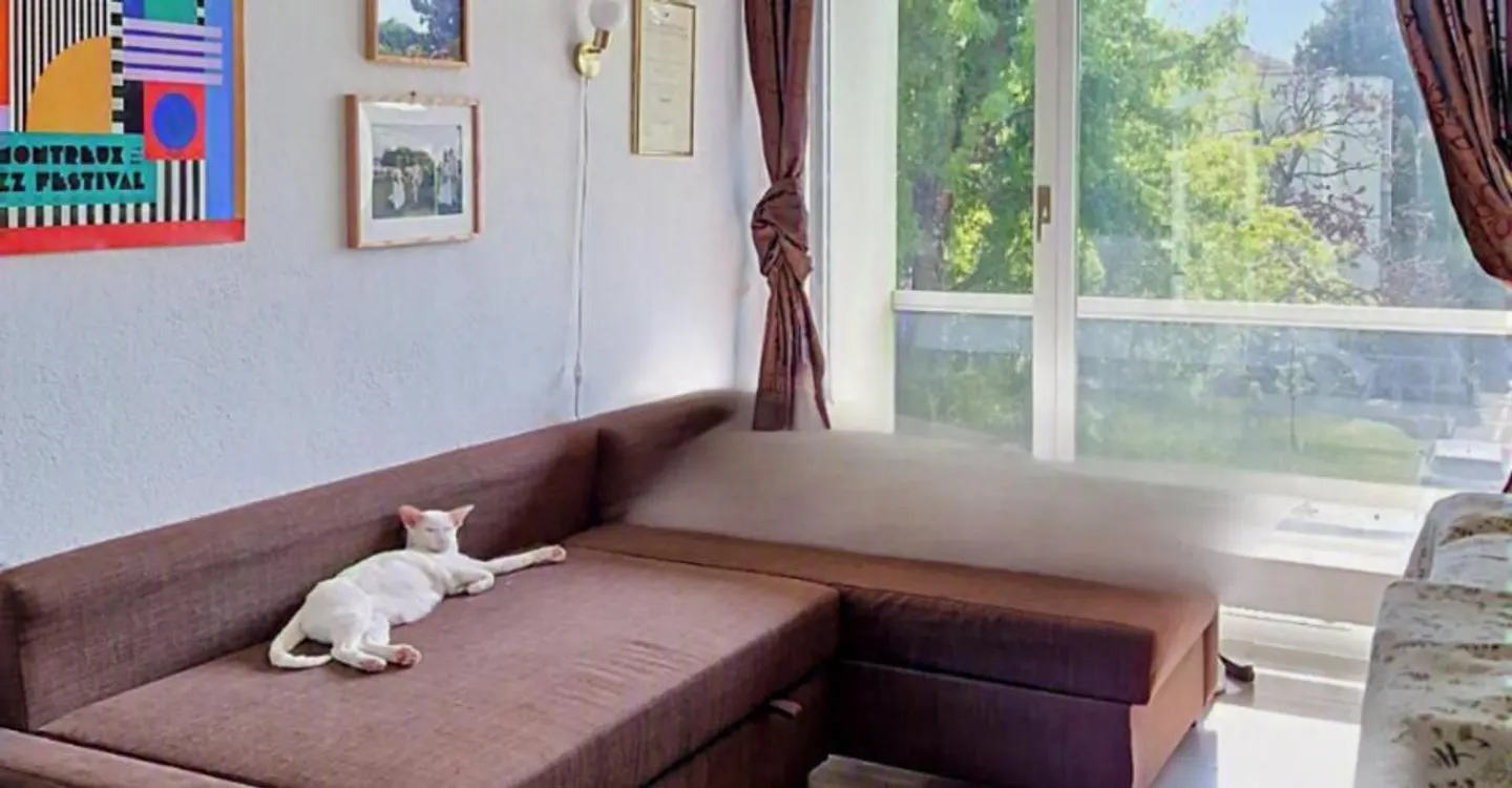 Appartamento di lusso in una zona tranquilla all'interno di un'area boschiva privata - St-Sulpice (VD) - Foto 5 di 9