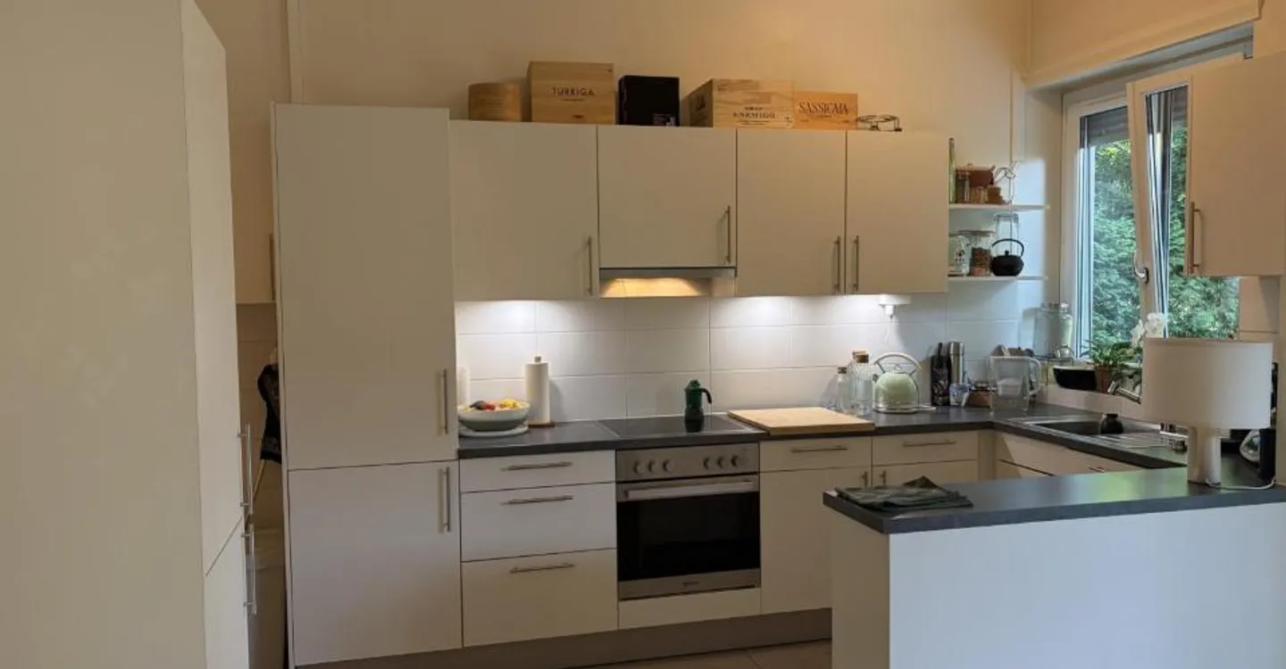 Wunderschöne 4,5 Zimmer mit Terrasse und privatem Garten, Stadtteil Champel - Foto 4 von 10