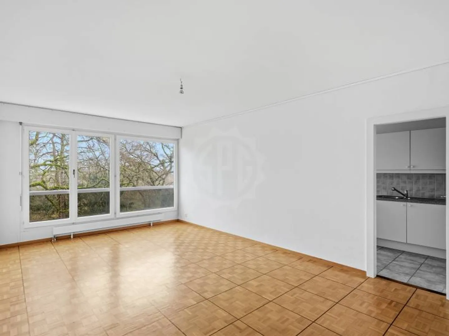 Charmante Wohnung - Genf - Foto 2 von 7