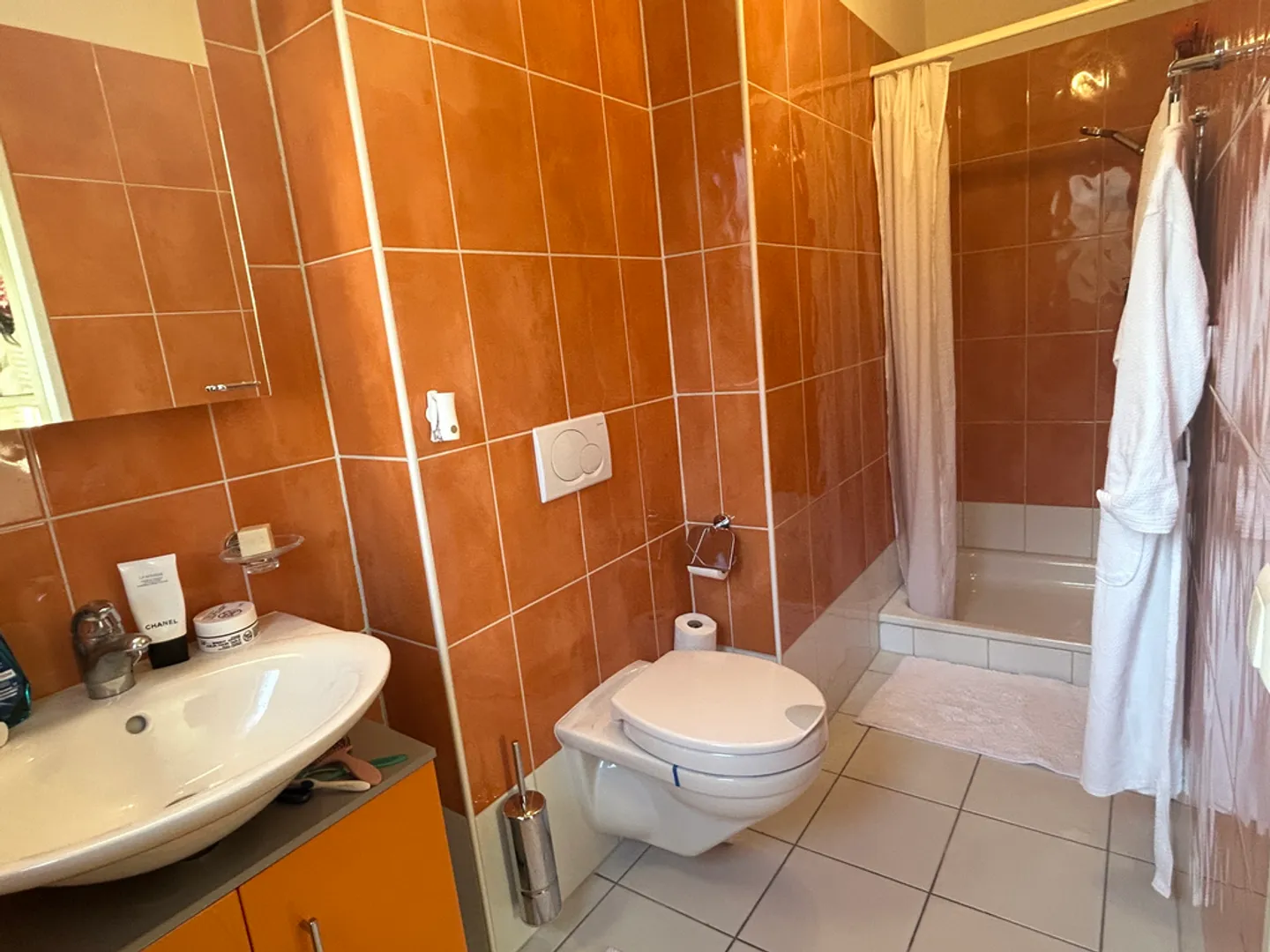 Appartement Charmant avec Vue sur le Lac - Photo 8 sur 9