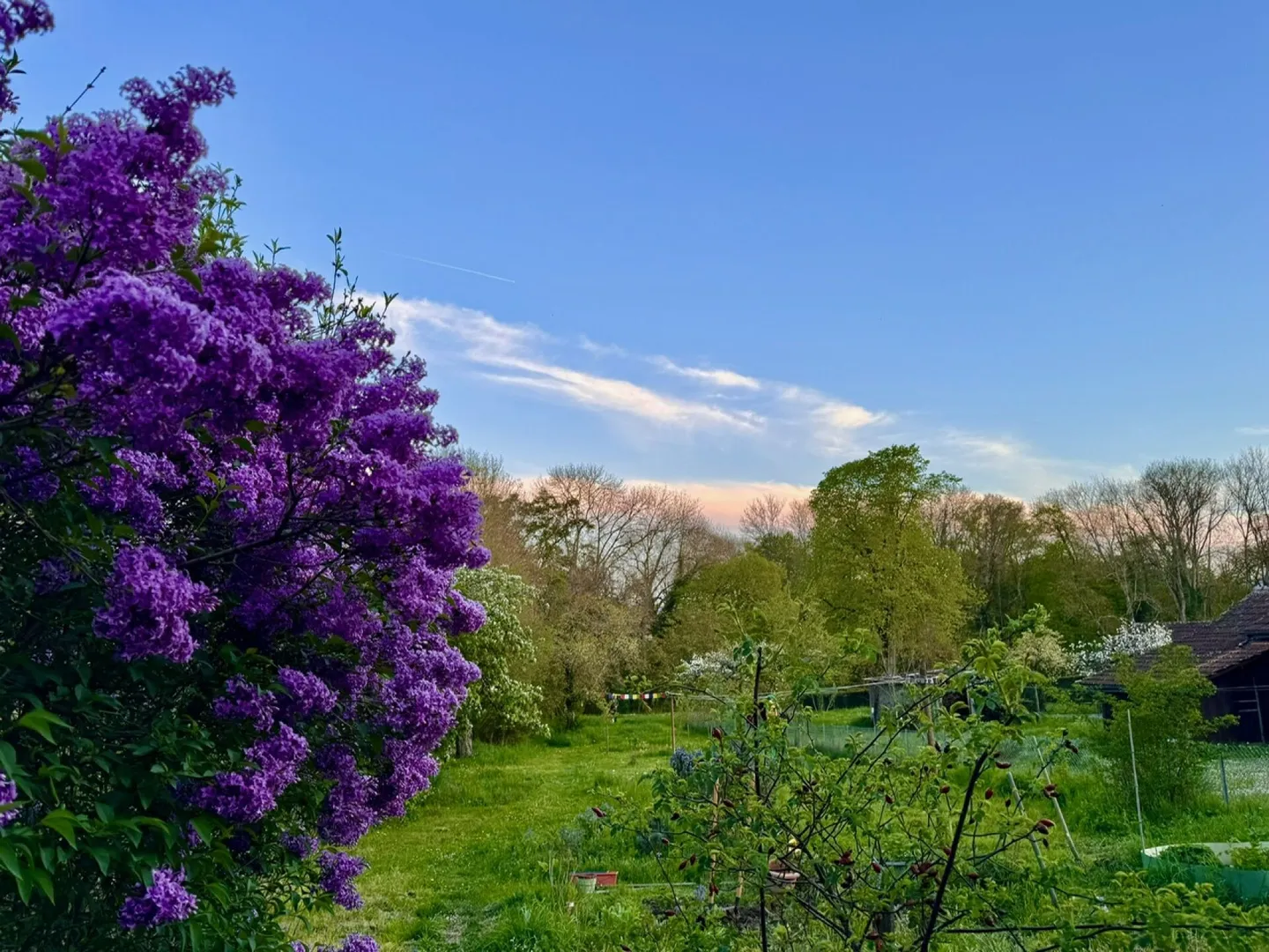 Appartements de Luxe dans Bâtisse Historique - Photo 1 sur 5