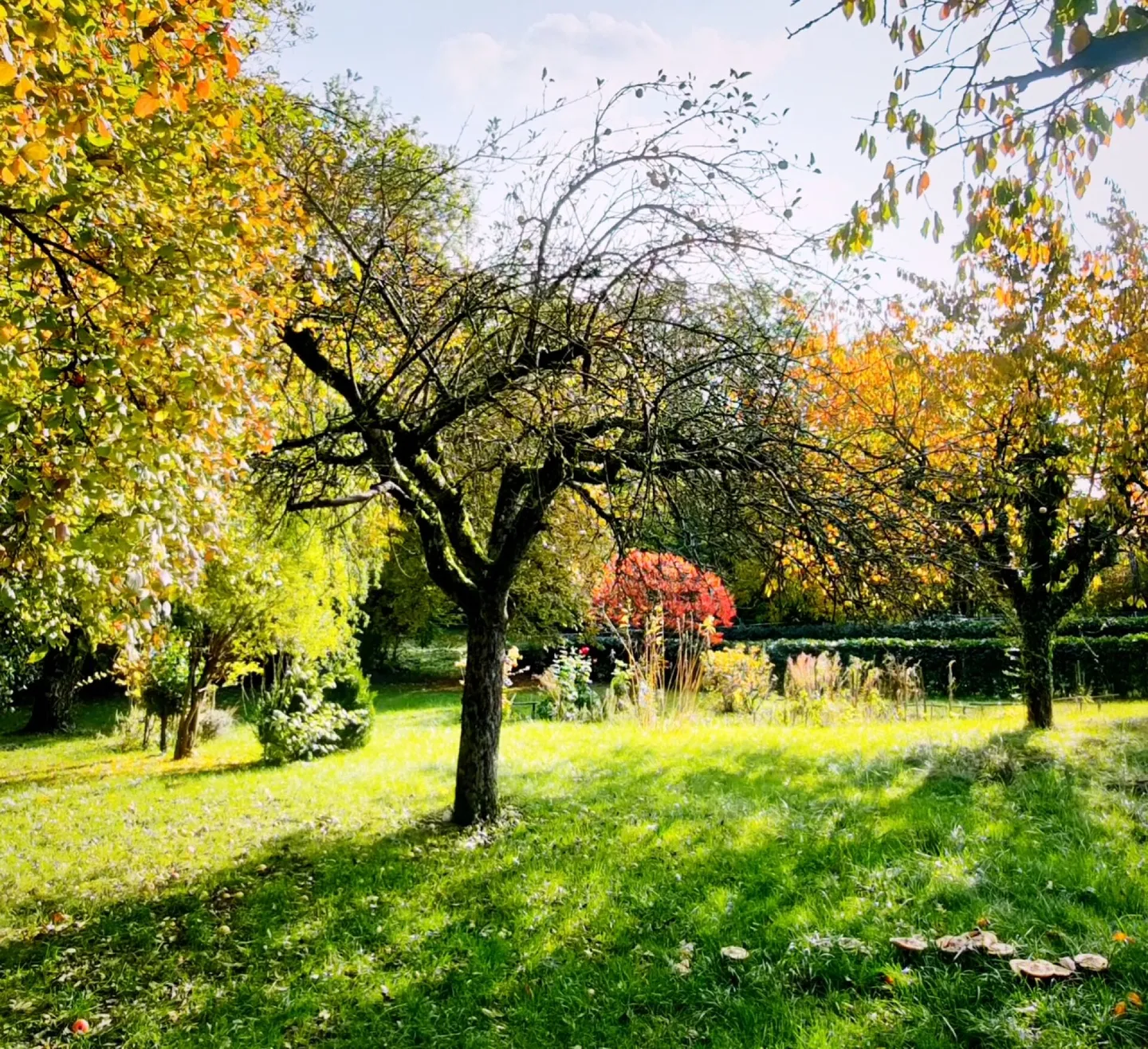 Appartements de Luxe dans Bâtisse Historique - Photo 2 sur 5